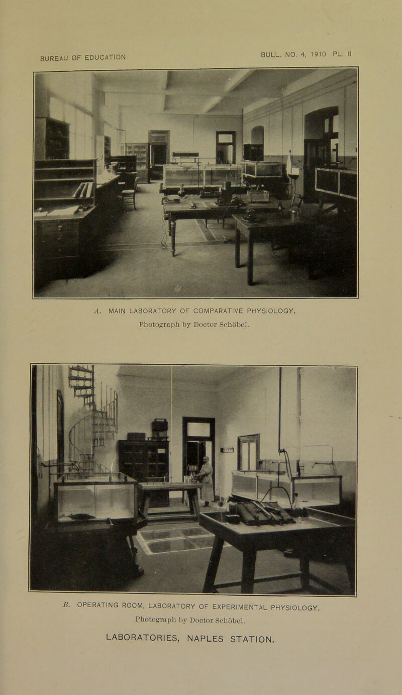A. MAIN LABORATORY OF COMPARATIVE PHYSIOLOGY. Photograph by Doctor Schobel. B. OPERATING ROOM, LABORATORY OF EXPERIMENTAL PHYSIOLOGY, Photograph by Doctor Schobel. LABORATORIES, NAPLES STATION.