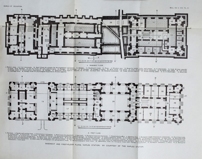 A B BULL. NO. 4. 1910 PL. Ill pspp H ,/U/ ^ li°clde^KgetoI ^^toreroom!^ ^^f^assagera2^,i^a.^age°to's^ve^°^0^ jv/ai'n^triuik! .$ p^' »«• T11 AO AK A1 i'.i T00D3. •Jo, Reservoir. 4(1, Tank; 300 tons capacity. *!, a^^S^nt 42,46*7, tS. 01 23456789 10 11 12 13 14 15 16 17 18 19 20 ^ (i ll i l i l 1, Net room. 2, Tackle and sorting room (nr stl11' 12, Storer°om. 13, uoi for fish larva. 23, Arched passage™^ y*/. ,r“°n?lor,^xPerime?t3 with :- STATION.