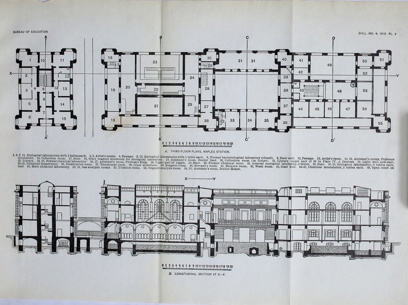 A C D BULL. NO. 4, 1910 PL. V A. THIRD-FLOOR PLANS, NAPLES STATION. % 8^n2^ie^!h 24aS^fac?d M'Jlr*IsLs ™°”a- Al^ee, 5,10, Zoological laboratories with 1 table each. Giesbrecht. : 16, Collection room.- 1^3 ^Docto?’ J.^.Asslstam-s rooms. Professor S’ iibn£ry‘ • 21’?5’ Former chemical laboratory! 26, 27, Assistant’s room, Professor Eisig. S5-55, Chemical department. 36, Polarization room. 37, Thermostat room. 38, Glas: roof. 49, Main chemical laboratory. 50, 51, Gas analysis rooms. 52, Titration room. 01 2 3 t 5 6 7 8 9 1011 12131415161718 1920 L*J 1'1 ■ 1 ' ■ 1 ■ 11 I i ' i I i 1 ■ ' [ i | i | | | B. LONGITUDINAL SECTION AT X—Y.