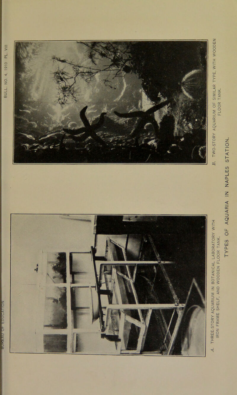 HUH1IUJ Ul- LUUUIIUIU