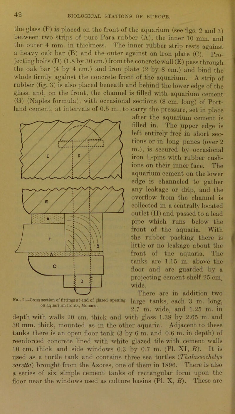 the glass (F) is placed on the front of the aquarium (see figs. 2 and 3) between two strips of pure Para rubber (A), the inner 10 mm. and the outer 4 mm. in thickness. The inner rubber strip rests against a heavy oak bar (B) and the outer against an iron plate (C). Pro- jecting bolts (D) (1.8 by 30 cm.) from the concrete wall (E) pass through the oak bar (4 by 4 cm.) and iron plate (2 by 8 cm.) and bind the whole firmly against the concrete front of the aquarium. A strip of rubber (fig. 3) is also placed beneath and behind the lower edge of the glass, and, on the front, the channel is filled with aquarium cement (G) (Naples formula), with occasional sections (8 cm. long) of Port- land cement, at intervals of 0.5 m.. to carry the pressure, set in place after the aquarium cement is filled in. The upper edge is left entirely free in short sec- tions or in long panes (over 2 m.), is secured by occasional iron L-pins with rubber cush- ions on their inner face. The aquarium cement on the lower edge is channeled to gather any leakage or drip, and the overflow from the channel is collected in a centrally located outlet (II) and passed to a lead pipe which runs below the front of the aquaria. With the rubber packing there is little or no leakage about the front of the aquaria. The tanks are 1.15 m. above the floor and are guarded bjr a projecting cement shelf 25 cm. wide. There are in addition two large tanks, each 3 m. long, 2.7 m. wide, and 1.25 m. in depth with walls 20 cm. thick and with glass 1.38 by 2.65 m. and 30 mm. thick, mounted as in the other aquaria. Adjacent to these tanks there is an open floor tank (3 by 6 m. and 0.6 m. in depth) of reenforced concrete lined with white glazed tile with cement walls 10 cm. thick and side windows 0.3 by 0.7 m. (PL XI, B). It is used as a turtle tank and contains three sea turtles (Tlialassochelys caretta) brought from the Azores, one of them in 1896. There is also a series of six simple cement tanks of rectangular form upon the floor near the windows used as culture basins (PI. X, B). These are Fig. 2.—Cross section of fittings at end of glazed opening on aquarium fronts, Monaco.