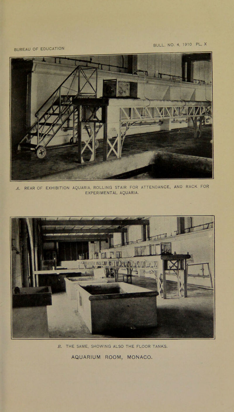 BUREAU OF EDUCATION A. REAR OF EXHIBITION AQUARIA, ROLLING STAIR FOR ATTENDANCE, AND RACK FOR EXPERIMENTAL AQUARIA. Ji. THE SAME, SHOWING ALSO THE FLOOR TANKS.