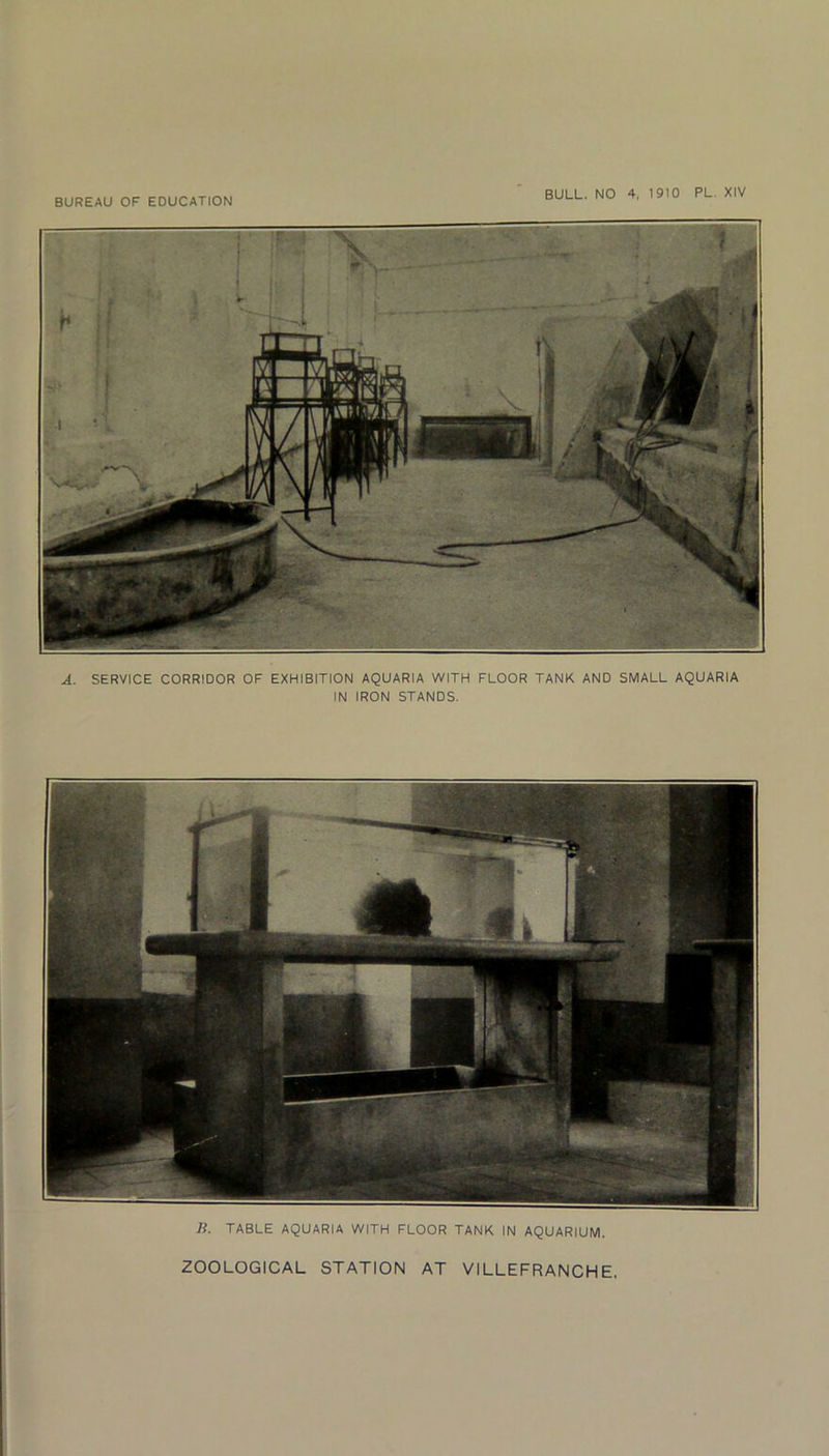 A. SERVICE CORRIDOR OF EXHIBITION AQUARIA WITH FLOOR TANK AND SMALL AQUARIA IN IRON STANDS. Ji. TABLE AQUARIA WITH FLOOR TANK IN AQUARIUM. ZOOLOGICAL STATION AT VILLEFRANCHE.