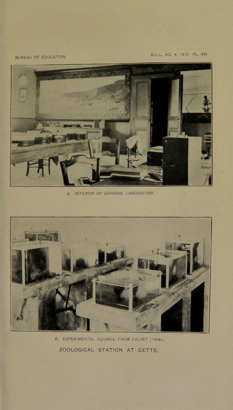 A. INTERIOR OF GENERAL LABORATORY. Ji. EXPERIMENTAL AQUARIA, FROM CALVET (1904), ZOOLOGICAL STATION AT CETTE.