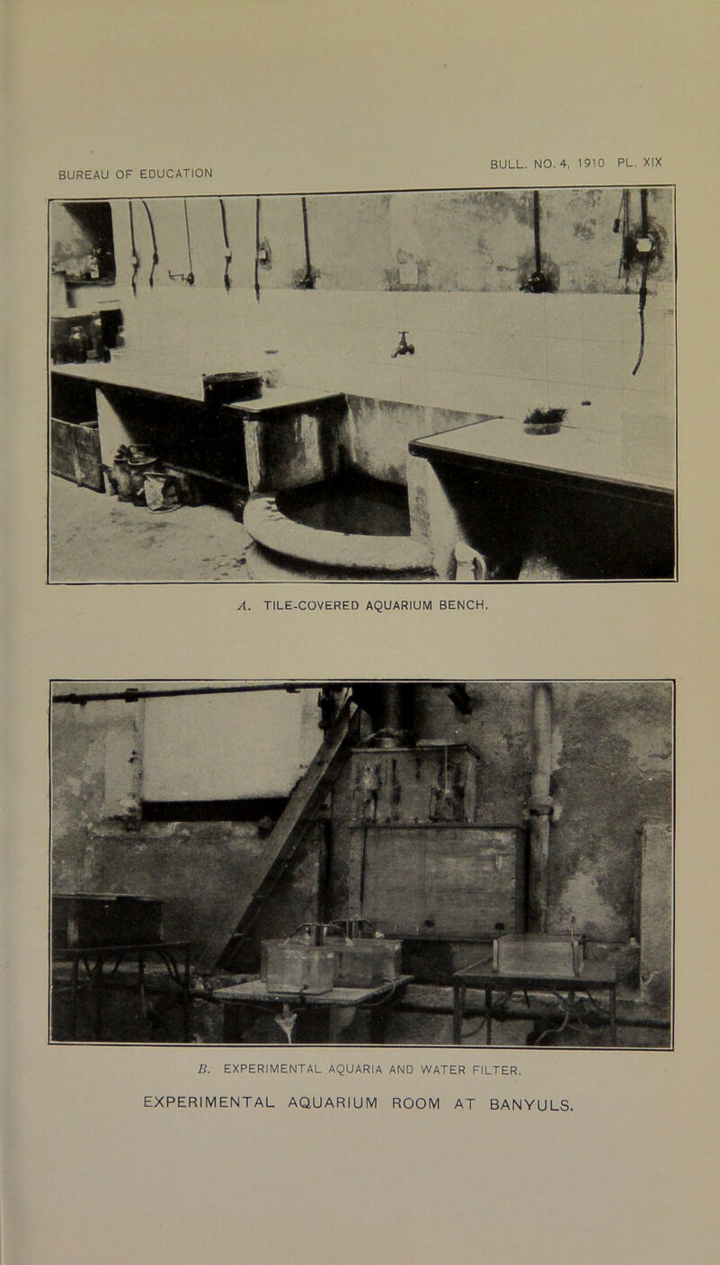 IJL;. fc . * A. TILE-COVERED AQUARIUM BENCH. B. EXPERIMENTAL AQUARIA AND WATER FILTER. EXPERIMENTAL AQUARIUM ROOM AT BANYULS.