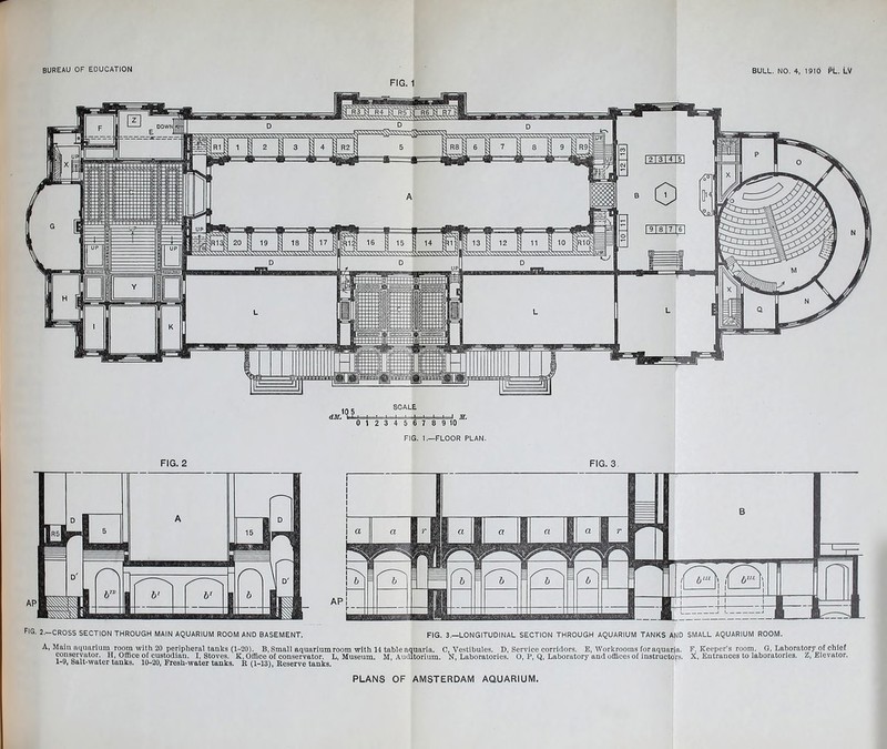 bureau of education BULL. NO. 4, 1910 PL. LV FIG. 1 10 5 dM. tatcT SCALE 01 234567 89 10^ FIG. 1.—FLOOR PLAN. FIG. 2 FIG. 3 FIG. 2. CROSS SECTION THROUGH MAIN AQUARIUM ROOM AND BASEMENT. FIG. 3.—LONGITUDINAL SECTION THROUGH AQUARIUM TANKS AND SMALL AQUARIUM ROOM. A, Main aquarium room with 20 peripheral tanks (1-20). B, Small aquarium room with 14 table aquaria. C, Vestibules. D, Service corridors. E, Workrooms for aquaria. F. Keeper's room. G, Laboratory of chief conservator. H, Office of custodian. I, Stoves. K, Office of conservator. L, Museum. M, Auditorium. N, Laboratories. O, P, Q, Laboratory and offices of instructors. X, Entrances to laboratories. Z, Elevator. 1-9, Salt-water tanks. 10-20, Fresh-water tanks. R (1-13), Reserve tanks. PLANS OF AMSTERDAM AQUARIUM.