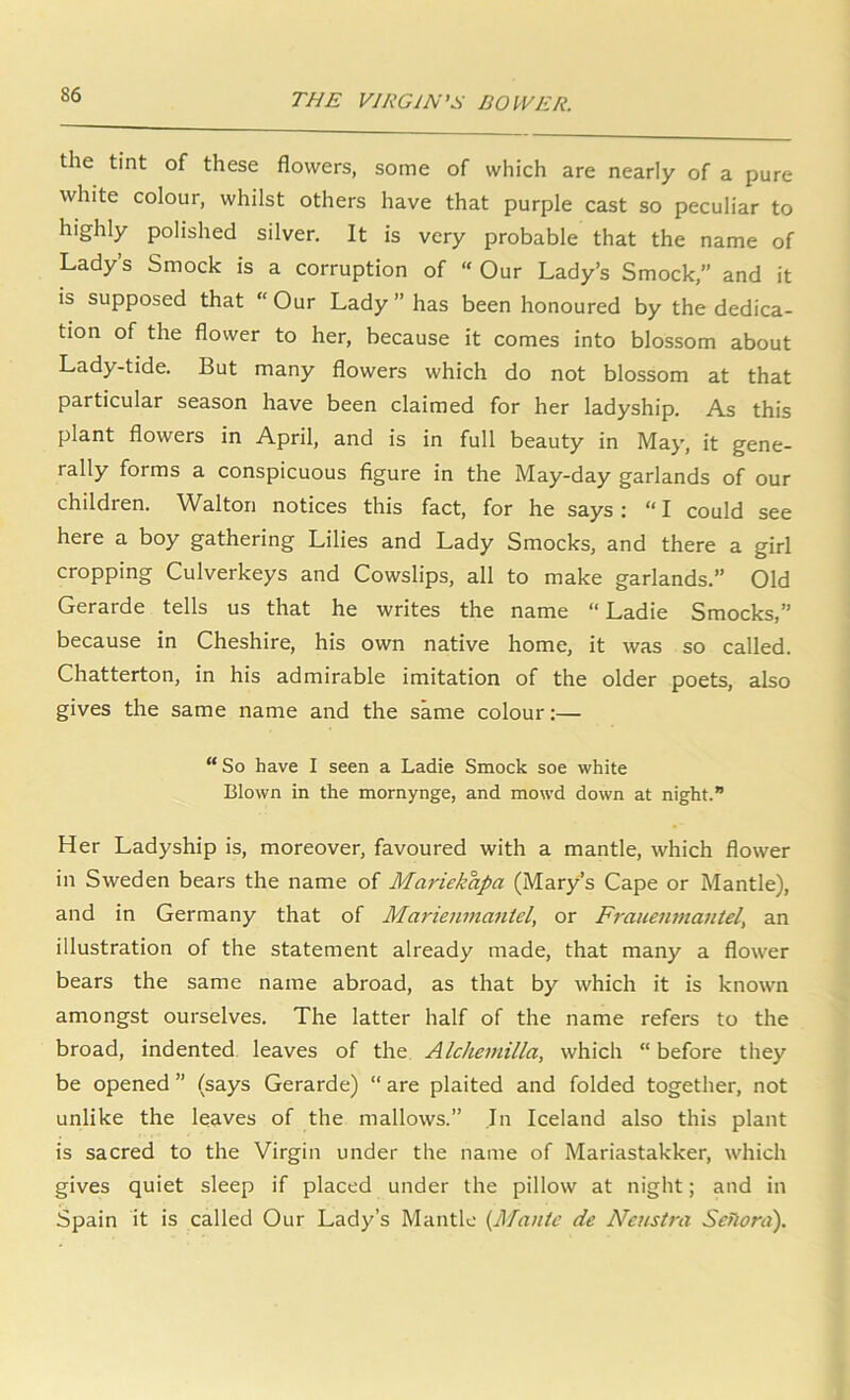 the tint of these flowers, some of which are nearly of a pure white colour, whilst others have that purple cast so peculiar to highly polished silver. It is very probable that the name of Lady’s Smock is a corruption of “ Our Lady’s Smock,” and it is supposed that “Our Lady” has been honoured by the dedica- tion of the flower to her, because it comes into blossom about Lady-tide. But many flowers which do not blossom at that particular season have been claimed for her ladyship. As this plant flowers in April, and is in full beauty in May, it gene- rally forms a conspicuous figure in the May-day garlands of our children. Walton notices this fact, for he says : “ I could see here a boy gathering Lilies and Lady Smocks, and there a girl cropping Culverkeys and Cowslips, all to make garlands.” Old Gerarde tells us that he writes the name “ Ladie Smocks,” because in Cheshire, his own native home, it was so called. Chatterton, in his admirable imitation of the older poets, also gives the same name and the same colour:— “So have I seen a Ladie Smock soe white Blown in the mornynge, and mowd down at night.” Her Ladyship is, moreover, favoured with a mantle, which flower in Sweden bears the name of Mariekapa (Mary’s Cape or Mantle), and in Germany that of Marienmantel, or Frauenmantel, an illustration of the statement already made, that many a flower bears the same name abroad, as that by which it is known amongst ourselves. The latter half of the name refers to the broad, indented, leaves of the Alclieniilla, which “ before they be opened ” (says Gerarde) “ are plaited and folded together, not unlike the leaves of the mallows.” In Iceland also this plant is sacred to the Virgin under the name of Mariastakker, which gives quiet sleep if placed under the pillow at night; and in Spain it is called Our Lady’s Mantle {Mantc de Netistra Senord).