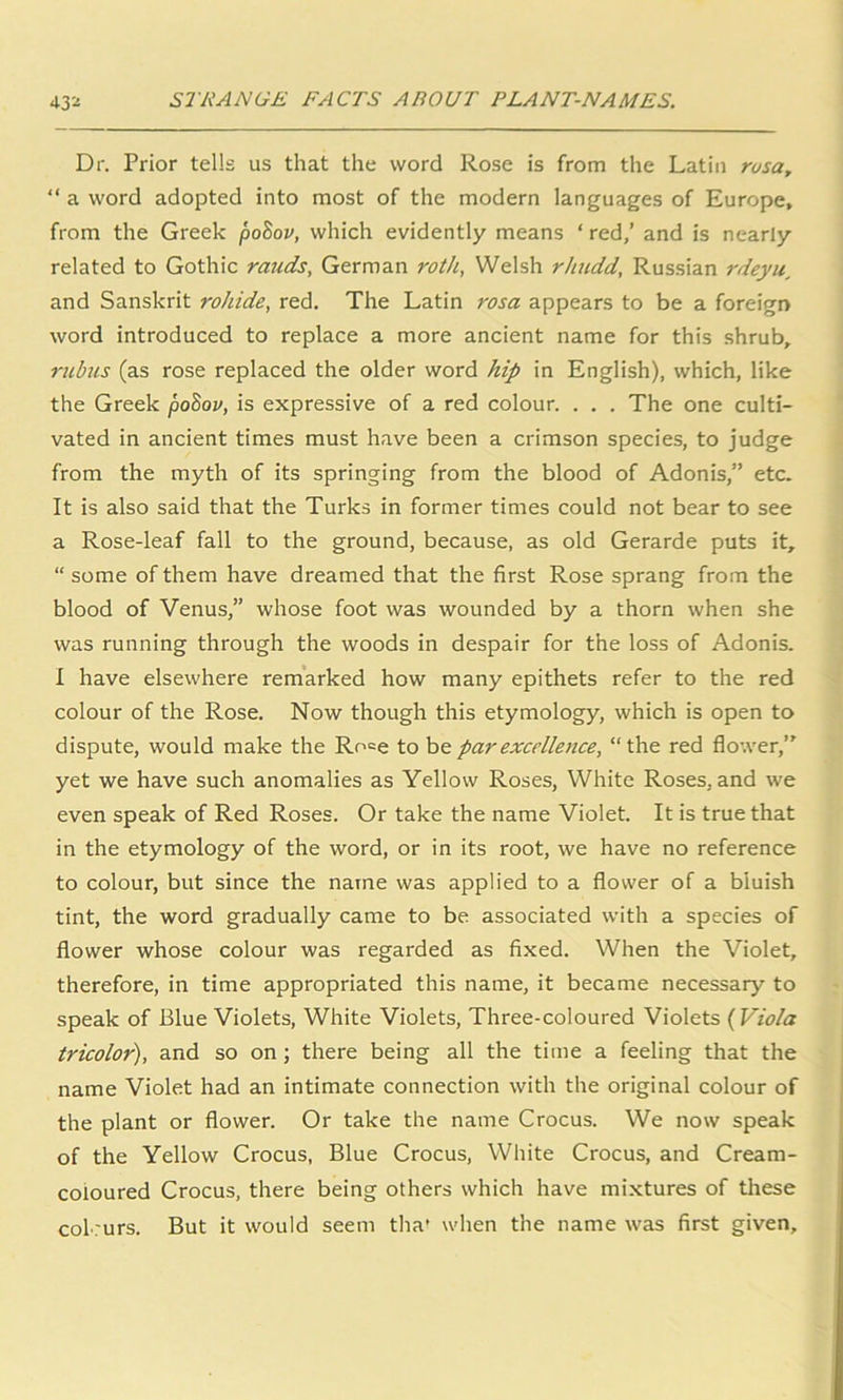 Dr. Prior tells us that the word Rose is from the Latin rosa, “ a word adopted into most of the modern languages of Europe, from the Greek poBov, which evidently means ‘ red,’ and is nearly related to Gothic rauds, German roth, Welsh rhudd, Russian rdeyu and Sanskrit rohide, red. The Latin rosa appears to be a foreign word introduced to replace a more ancient name for this shrub, rubus (as rose replaced the older word hip in English), which, like the Greek poSoo, is expressive of a red colour. . . . The one culti- vated in ancient times must have been a crimson species, to judge from the myth of its springing from the blood of Adonis,” etc. It is also said that the Turks in former times could not bear to see a Rose-leaf fall to the ground, because, as old Gerarde puts it, “ some of them have dreamed that the first Rose sprang from the blood of Venus,” whose foot was wounded by a thorn when she was running through the woods in despair for the loss of Adonis. I have elsewhere remarked how many epithets refer to the red colour of the Rose. Now though this etymology, which is open to dispute, would make the Ro=e to be par excellence, “the red flower,” yet we have such anomalies as Yellow Roses, White Roses, and we even speak of Red Roses. Or take the name Violet. It is true that in the etymology of the word, or in its root, we have no reference to colour, but since the name was applied to a flower of a bluish tint, the word gradually came to be associated with a species of flower whose colour was regarded as fixed. When the Violet, therefore, in time appropriated this name, it became necessary to speak of Blue Violets, White Violets, Three-coloured Violets ( Viola tricolor), and so on ; there being all the time a feeling that the name Violet had an intimate connection with the original colour of the plant or flower. Or take the name Crocus. We now speak of the Yellow Crocus, Blue Crocus, White Crocus, and Cream- coloured Crocus, there being others which have mixtures of these colours. But it would seem tha' when the name was first given.