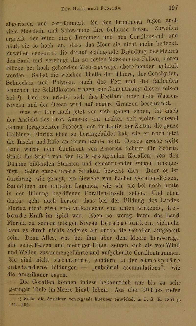 abgerissen und zertrümmert. Zu den Trümmern fügen auch viele Muscheln und Sclnvümme ihre Gehäuse hinzu. Zuweilen ergreift der Wind diese Trümmer und den Corallensand und häuft sie so hoch an, dass das Meer sie nicht mehr bedeckt. Zuweilen cementirt die darauf schlagende Brandung des Meeres den Sand und vereinigt ihn zu festen Massen oder Felsen, deren Blöcke bei hoch gehendem Meeresgewoge übereinander gehäuft werden. Selbst die weichen Theile der Thiere, der Conchylien, Schnecken und Polypen, auch das Fett und die faulenden Knochen der Schildkröten tragen zur Cementirung dieser Felsen bei. 0 Und so erhebt sich das Festland über dem Wasser- Niveau und der Ocean wird auf engere Gränzen beschränkt. Was wir hier noch jetzt vor sich gehen sehen, ist -nach der Ansicht des Prof. Agassiz ein uralter seit vielen tausend Jahren fortgesetzter Process, der im Laufe der Zeiten die ganze Halbinsel Florida eben so herangebildet hat, wie er noch jetzt die Inseln und Kiffe an ihrem Rande baut. Dieses grosse weite Land wurde dem Continent von America Schritt für Schritt, Stück für Stück von den Kalk erzeugenden Korallen, von den Dämme bildenden Stürmen und cementirenden Wogen hinzuge- fügt. Seine ganze innere Struktur beweist dies. Denn es ist durchweg, wie gesagt, ein Gewebe von flachen Corallen-Felsen, Sanddünen und untiefen Lagunen, wie wir sie bei noch heute in der Bildung begriffenen Corallen-Inseln sehen. Und eben daraus geht auch hervor, dass bei der Bildung des Landes Florida nicht etwa eine vulkanische von unten wirkende, he- bende Kraft im Spiel war. Eben so wenig kann das Land Florida zu seinem jetzigen Niveau her ab gesunken, vielmehr kann es durch nichts anderes als durch die Corallen aufgebaut sein. Denn Alles, was bei ihm über dem Meere hervorragt, alle seine Felsen und niedrigen Hügel zeigen sich als von Wind und Wellen zusammengeführte und aufgehäufte Corallentrümmer. Sie sind nicht submarine, sondern in der Atmosphäre entstandene Bildungen — „subaerial accumulations“, wie die Amerikaner sagen. Die Corallen können indess bekanntlich nur bis zu sehr geringer Tiefe im Meere hinab leben. Aus über 50 Fuss tiefen ') Siehe die Ansichten von Agassiz hierüber entwickelt in C. S. R. 1851 p. 151 — 152.