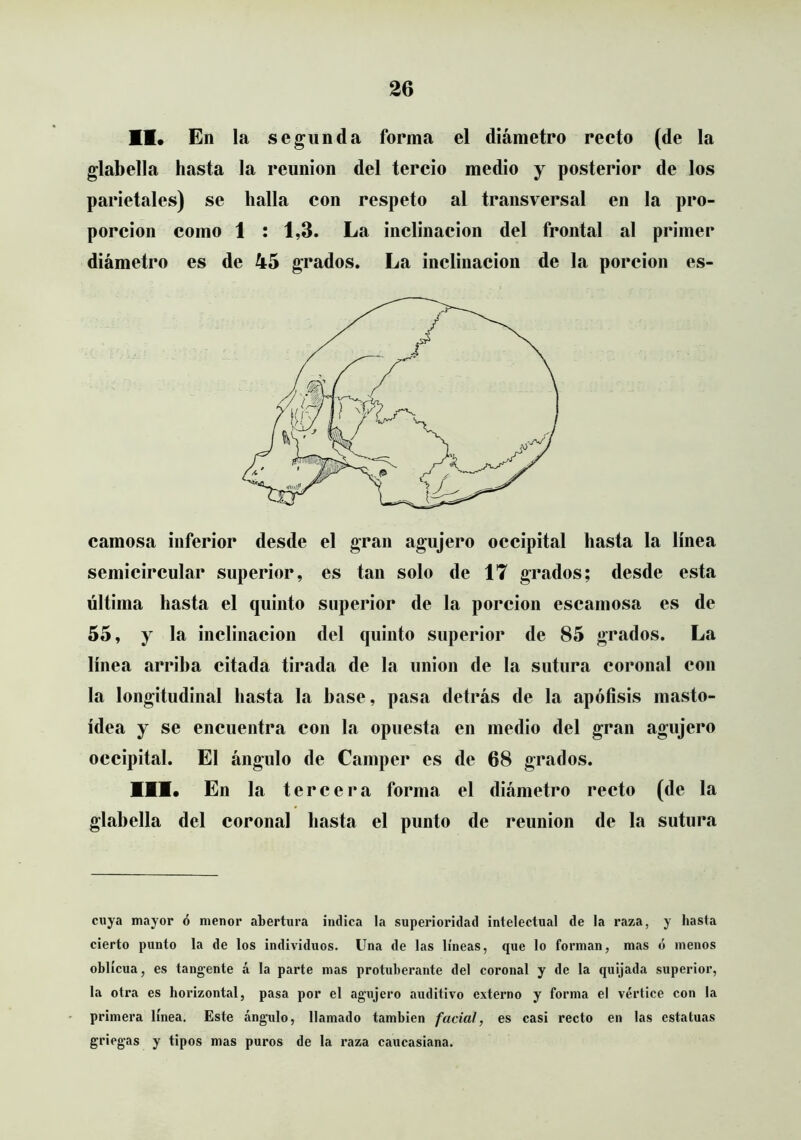 11* En la segunda forma el diámetro recto (de la glabella hasta la reunión del tercio medio y posterior de los parietales) se halla con respeto al transversal en la pro- porción como 1 ; 1,3. La inclinación del frontal al primer diámetro es de 45 grados. La inclinación de la porción es- camosa inferior desde el gran agujero occipital hasta la línea semicircular superior, es tan solo de 17 grados; desde esta última hasta el quinto superior de la porción escamosa es de 55, y la inclinación del quinto superior de 85 grados. La línea arriba citada tirada de la unión de la sutura coronal con la longitudinal hasta la base, pasa detrás de la apófisis masto- ídea y se encuentra con la opuesta en medio del gran agujero occipital. El ángulo de Camper es de 68 grados. 111. En la tercera forma el diámetro recto (de la glahella del coronal hasta el punto de reunión de la sutura cuya mayor ó menor abertura indica la superioridad intelectual de la raza, y hasta cierto punto la de los individuos. Una de las líneas, que lo forman, mas ó menos oblicua, es tangente á la parte mas protuberante del coronal y de la quijada superior, la otra es horizontal, pasa por el agujero auditivo externo y forma el vértice con la primera línea. Este ángulo, llamado también facial, es casi recto en las estatuas griegas y tipos mas puros de la raza caucasiana.