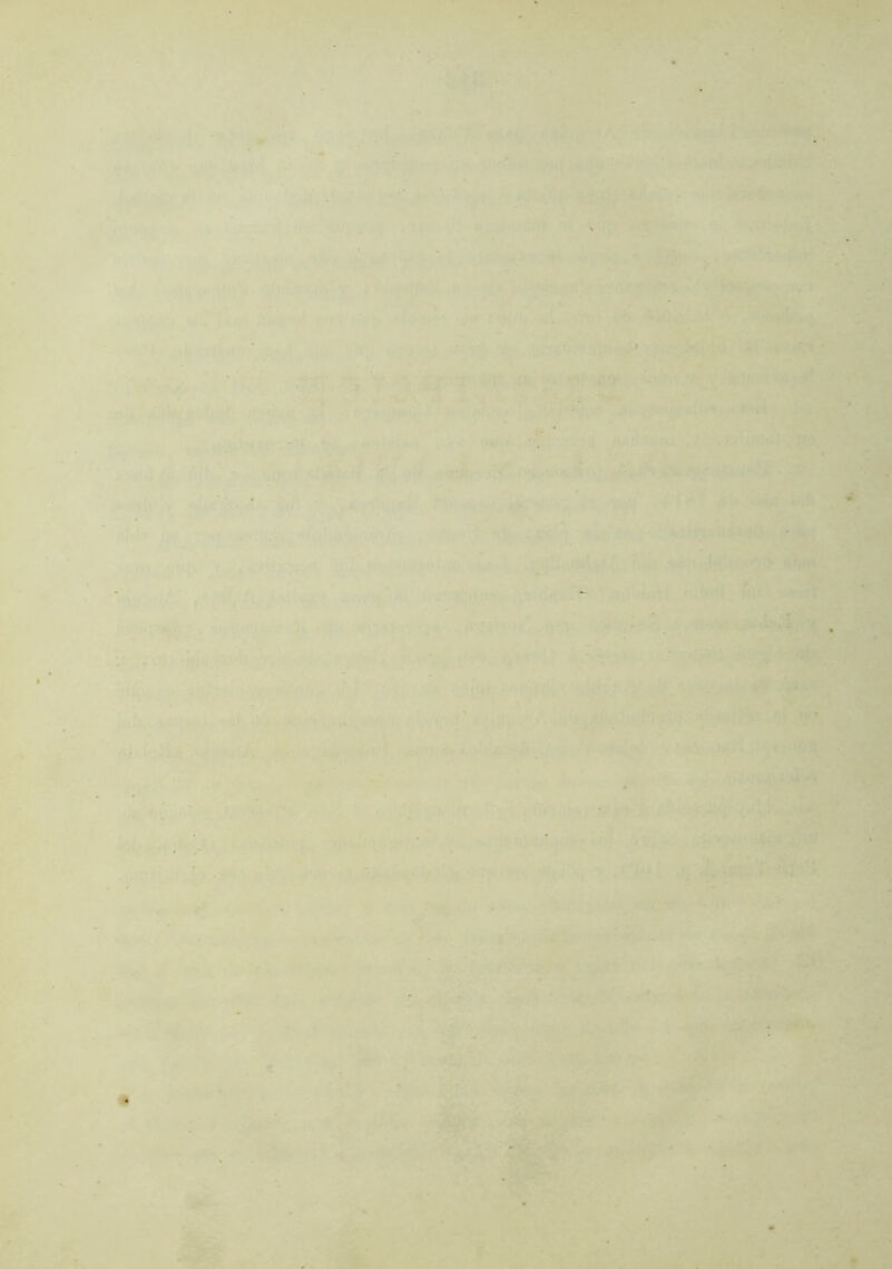 1 .•V 1-». - ^ ■ 'i ‘ '■ ■■ T,“ ' • ‘. V /| ié,''^4/^ ■ '■< V .’ • .I •' ,»■.’i^.', i j' f •' ' ' ■ V' ^ 4 -■;*, .VI.. V ■'* - ■■ *r. ■ é 'f ' -fT • •*.;*■■. -:l‘ '7 Vi- •» «•.»W,5ií;4'M. . ’-^úv.'-í, ;;t' n :‘ • ■’ '• ;■' * •■ >• ^ ; t '•'' '> .', ■;''- ' . - • ‘ •:; - H-)i>.«A‘i ■ ' '■ ' '...p 5 ' i: ._ ■Í*' f i.'., V. • '*■■■• ■:; ': ■: '.i.- ' ' '’ . ■ ’ ■rjl: . -V ;''V.-.- . / '.v . i ■. I ve yt. -, : - ••■ t' ■ *-• ' ■ •■ ' ..* V*íl*t*í ' '=•»■ .^,- - ^ r, . . K ^ v' r-' _ , ■ Iviy J. • ; ‘'Md; /: ■ V.,' -v;•.' ;• :: 'iffK. ' ifi% ik.t ‘ ' * * t Jf' _ Í.-, C--ÍÜ. « ? . * . 1 . .V 0% ■ >;l . Í. ■•’'.'■'*.*,♦* .1, . ■ ■•• • ., ;-v' , J . v^vi •V sA-a, > ; ’ '»j ■» ■ • • ’ f ' ‘ ^ , /■ 'o \ ^ ■ ■ ■ A Í.:* ^' f ' ' ■■• í'- -.' '4i