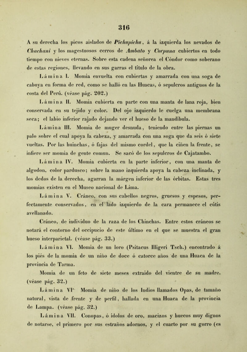 A su derecha los picos aislados de Piclmpickii, á la izquierda los nevados de Chachani y los majestuosos cerros de Amhato y Corpuna cubiertos en todo tiempo con nieves eternas. Sobre esta cadena señorea el Cóndor como soberano de estas regiones, llevando en sus garras el título de la obra. L á m i n a I. Momia envuelta con cubiertas y amarrada con una soga de cabuya en forma de red, como se halló en las Huacas, ó sepulcros antiguos de la costa del Perú, (véase pág. 202.) Lámina II. Momia cubierta en parte con una manta de lana roja, bien conservada en su tejido y color. Del ojo izquierdo le cuelga una membrana seca; el labio inferior rajado dejando ver el hueso de la mandíbula. Lámina III. Momia de muger desnuda, teniendo entre las piernas un palo sobre el cual apoya la cabeza, y amarrada con una soga que da seis ó siete vueltas. Por las buincbas, ó fajas del mismo cordel, que la ciñen la frente, se infiere ser momia de gente común. Se sacó de los sepulcros de Cajatambo. Lámina IV. Momia cubierta en la parte inferior, con una manta de algodón, color pardusco; sobre la mano izquierda apoya la cabeza inclinada, y los dedos de la derecha, agarran la márgen inferior de las órbitas. Estas tres momias existen en el Museo nacional de Lima. L á m i n a V. Cráneo, con sus cabellos negros, gruesos y espesos, per- fectamente conservados, en el lado izquierdo de la cara permanece el cutis avellanado. Cráneo, de individuo de la raza de los Chinchas. Entre estos cráneos se notará el contorno del occipucio de este último en el que se muestra el gran hueso interparietal, (véase pág. 33.) Lámina VI. Momia de un loro (Psitacus Illigeri Tscb.) encontrado á los piés de la momia de un niño de doce ó catorce años de una Ruaca de la provincia de Tarma. Momia de un feto de siete meses extraído del vientre de su madre, (véase pág. 32.) Lámina VP Momia de niño de los Indios llamados Opas, de tamaño natural, vista de frente y de perfil, bailada en una Ruaca de la provincia de Lampa, (véase pág. 32.) Lámina Vil. Conopas, ó ídolos de oro, macizos y huecos muy dignos de notíirse, el primero por sus estraños adornos, y el cuarto por su gorro (es