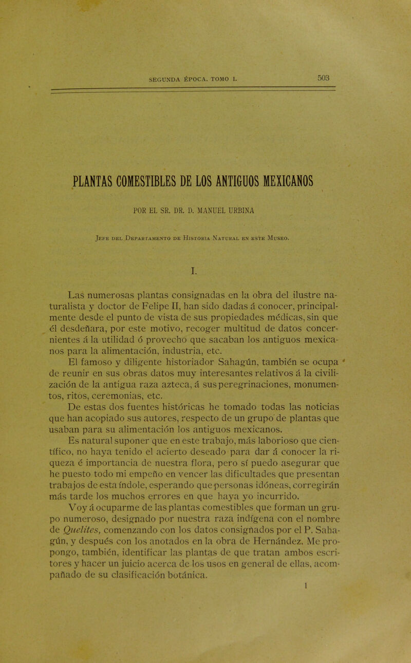 PLANTAS COMESTIBLES DE LOS ANTIGUOS MEXICANOS POR EL SR. DR. D. MANUEL URBINA Jefe del Departamento de Historia Natural en este Museo. I. Las numerosas plantas consignadas en la obra del ilustre na- turalista y doctor de Felipe II, han sido dadas á conocer, principal- mente desde el punto de vista de sus propiedades médicas, sin que él desdeñara, por este motivo, recoger multitud de datos concer- nientes á la utilidad ó provecho que sacaban los antiguos mexica- nos para la alimentación, industria, etc. El famoso y diligente historiador Sahagún, también se ocupa de reunir en sus obras datos muy interesantes relativos á la civili- zación de la antigua raza azteca, á sus peregrinaciones, monumen- tos, ritos, ceremonias, etc. De estas dos fuentes históricas he tomado todas las noticias que han acopiado sus autores, respecto de un grupo'de plantas que usaban para su alimentación los antiguos mexicanos. Es natural suponer que en este trabajo, más laborioso que cien- tífico, no haya tenido el acierto deseado para dar á conocer la ri- queza é importancia de nuestra flora, pero sí puedo asegurar que he puesto todo mi empeño en vencer las dificultades que presentan trabajos de esta índole, esperando que personas idóneas, corregirán más tarde los muchos errores en que haya yo incurrido. Voy á ocuparme de las plantas comestibles que forman un gru- po numeroso, designado por nuestra raza indígena con el nombre de Quelites, comenzando con los datos consignados por el P. Saha- gún, y después con los anotados en la obra de Hernández. Me pro- pongo, también, identificar las plantas de que tratan ambos escri- tores y hacer un juicio acerca de los usos en general de ellas, acom- pañado de su clasificación botánica. l