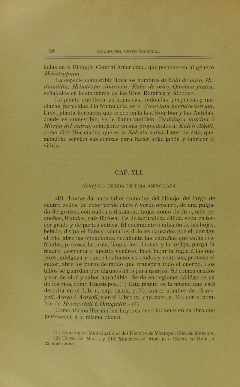 ladas en la Biología Central Americana, que pertenecen al género Heliotropium. La especie comestible lleva los nombres de Cola de mico, He- dió ndilla, Heliotropo cimarrón, Rabo de mico, Quiebra platos, señalados en la sinonimia de los Sres. Ramírez v Alcocer. La planta que lleva las hojas casi redondas, purpúreas y me- dianas, parecidas á la Numularia, es el Sesuvium portulacastrum, Linn., planta herbácea que crece en la Isla Bourbon y las Antillas, donde es comestible; se le llama también Verdolaga marina ó Hierba del vidrio, semejante en sus propiedades al Kali ó Alkali, como dice Hernández, que es la Salsola salsa, Linn.: de ésta, que- mándola, servían sus cenizas para hacer lejía, jabón y fabricar el vidrio. CAP. XLI. Acueyo ó hierba de hoja ampollada. «El Acueyo da unos tallos como los del Hinojo, del largo de cuatro codos, de color verde claro ó verde obscuro, de una pulga- da de grueso, con nudos á distancia, hojas como de Aro, más pe- queñas, blandas, raíz fibrosa. Es de naturaleza cálida, seca en ter- cer grado y de partes sutiles. El cocimiento ó infusión de las hojas, bebido, disipa el flato y calma los dolores causados por él, corrige el frío, abre las opilaciones, recalienta las entrañas que están res- friadas, provoca la orina, limpia los riñones y la vejiga, purga la madre, despierta el apetito venéreo, hace bajar la regla á las mu- jeres, adelgaza y cuece los humores crudos y ventosos, provoca el sudor, abre los poros de modo que transpira todo el cuerpo. Los tallos se guardan por algunos años para usarlos! Se comen crudos y son de olor y sabor agradable. Se da en regiones cálidas cerca de los ríos, como Huaztepec. (l) Esta planta es la misma que está descrita en el Lib. i., cap. cxxix, p. 70, con el nombre de Acaco- yotl, Acoyo ó Acoyotl, y en el Libro ix., cap. xxxi, p. 314, con el nom- bre de Hoeixochitl ú Omiquilitl.» (2) Como afirma Hernández, hay tres descripciones en su obra que pertenecen á la misma planta. (1) Huaztepec: Municipalidad del Distrito de Yautepec (Est. de Morelos). (2) Hernz. ed. Mad. i, p. 218; Ximénez, ed. Mor., p. 4; Hernz. ed Rom., p. 32, sine icone.