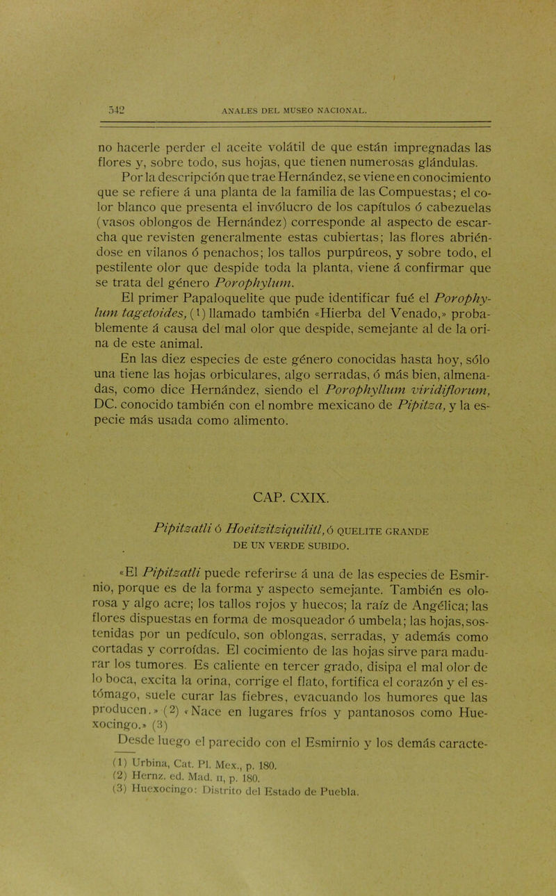 542 ANALES DEL MUSEO NACIONAL. no hacerle perder el aceite volátil de que están impregnadas las flores y, sobre todo, sus hojas, que tienen numerosas glándulas. Por la descripción que trae Hernández, se viene en conocimiento que se refiere á una planta de la familia de las Compuestas; el co- lor blanco que presenta el invólucro de los capítulos ó cabezuelas (vasos oblongos de Hernández) corresponde al aspecto de escar- cha que revisten generalmente estas cubiertas; las flores abrién- dose en vilanos ó penachos; los tallos purpúreos, y sobre todo, el pestilente olor que despide toda la planta, viene á confirmar que se trata del género Porophylum. El primer Papaloquelite que pude identificar fué el Porophy- lum tagetoides, (i) llamado también «Hierba del Venado,» proba- blemente á causa del mal olor que despide, semejante al de la ori- na de este animal. En las diez especies de este género conocidas hasta hoy, sólo una tiene las hojas orbiculares, algo serradas, ó más bien, almena- das, como dice Hernández, siendo el Porophyllum viridiflorum, DC. conocido también con el nombre mexicano de Pipitsa, y la es- pecie más usada como alimento. CAP. CXIX. Pipitsatli ó Hoeitsitsiquiliil, ó quelite grande DE UN VERDE SUBIDO. «El Pipitsatli puede referirse á una de las especies de Esmir- nio, porque es de la forma y aspecto semejante. También es olo- rosa y algo acre; los tallos rojos y huecos; la raíz de Angélica; las flores dispuestas en forma de mosqueador ó umbela; las hojas,sos- tenidas por un pedículo, son oblongas, serradas, y además como cortadas y corroídas. El cocimiento de las hojas sirve para madu- rar los tumores. Es caliente en tercer grado, disipa el mal olor de lo boca, excita la orina, corrige el flato, fortifica el corazón y el es- tomago, suele curar las fiebres, evacuando los humores que las producen.» (2) «-Nace en lugares fríos y pantanosos como Hue- xocingo.» (3) Desde luego el parecido con el Esmirnio y los demás caracte- (1) Urbina, Cat. Pl. Mex., p. 180. (2) Hernz. ed. Mad. ii, p. 180. (3) Huexocingo: Distrito del Estado de Puebla.