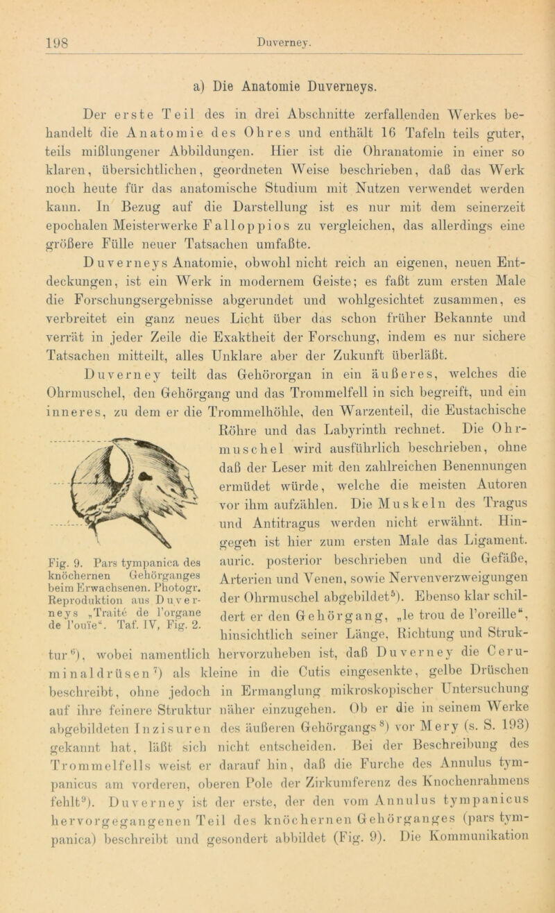 a) Die Anatomie Duverneys. Der erste Teil des in drei Abschnitte zerfallenden Werkes be- handelt die Anatomie des Ohres und enthält 16 Tafeln teils guter, teils mißlungener Abbildungen. Hier ist die Ohranatomie in einer so klaren, übersichtlichen, geordneten Weise beschrieben, daß das Werk noch heute für das anatomische Studium mit Nutzen verwendet werden kann. In Bezug auf die Darstellung ist es nur mit dem seinerzeit epochalen Meisterwerke Falloppios zu vergleichen, das allerdings eine größere Fülle neuer Tatsachen umfaßte. D uverneys Anatomie, obwohl nicht reich an eigenen, neuen Ent- deckungen, ist ein Werk in modernem Geiste; es faßt zum ersten Male die Forschungsergebnisse abgerundet und wohlgesichtet zusammen, es verbreitet ein ganz neues Licht über das schon früher Bekannte und verrät in jeder Zeile die Exaktheit der Forschung, indem es nur sichere Tatsachen mitteilt, alles Unklare aber der Zukunft überläßt. Duverney teilt das Gehörorgan in ein äußeres, welches die Ohrmuschel, den Gehörgang und das Trommelfell in sich begreift, und ein inneres, zu dem er die Trommelhöhle, den Warzenteil, die Eustachische Röhre und das Labyrinth rechnet. Die Ohr- muschel wird ausführlich beschrieben, ohne daß der Leser mit den zahlreichen Benennungen ermüdet würde, welche die meisten Autoren vor ihm aufzählen. Die Muskeln des Tragus und Antitragus werden nicht erwähnt. Hin- gegen ist hier zum ersten Male das Ligament. f.'J { Vv£ Fig. 9. Pars tympanica des knöchernen Gehörganges beim Erwachsenen. Photogr. Reproduktion aus D u v e r- neys „Traite de l’organe de l’ouie“. Taf. IV, Fig. 2. auric. posterior beschrieben und die Gefäße, Arterien und Venen, sowie Nervenverzweigungen der Ohrmuschel abgebildet5). Ebenso klar schil- dert er den Gehörgang, „le trou de l’oreille“, hinsichtlich seiner Länge, Richtung und Struk- tur6), wobei namentlich hervorzuheben ist, daß Duverney die Ceru- minaldrüsen7) als kleine in die Cutis eingesenkte, gelbe Dräschen beschreibt, ohne jedoch in Ermanglung mikroskopischer Untersuchung auf ihre feinere Struktur näher einzugehen. Ob er die in seinem Werke abgebildeten Inzisuren des äußeren Gehörgangs8) vor Mery (s. S. 193) gekannt hat, läßt sich nicht entscheiden. Bei der Beschreibung des Trommelfells weist er darauf hin, daß die Furche des Annulus tym- panicus am vorderen, oberen Pole der Zirkumferenz des Knochenrahmens fehlt9). Duverney ist der erste, der den vom Annulus tympanicus hervorgegangenen Teil des knöchernen Gehörganges (pars tym- panica) beschreibt und gesondert abbildet (Fig. 9). Die Kommunikation