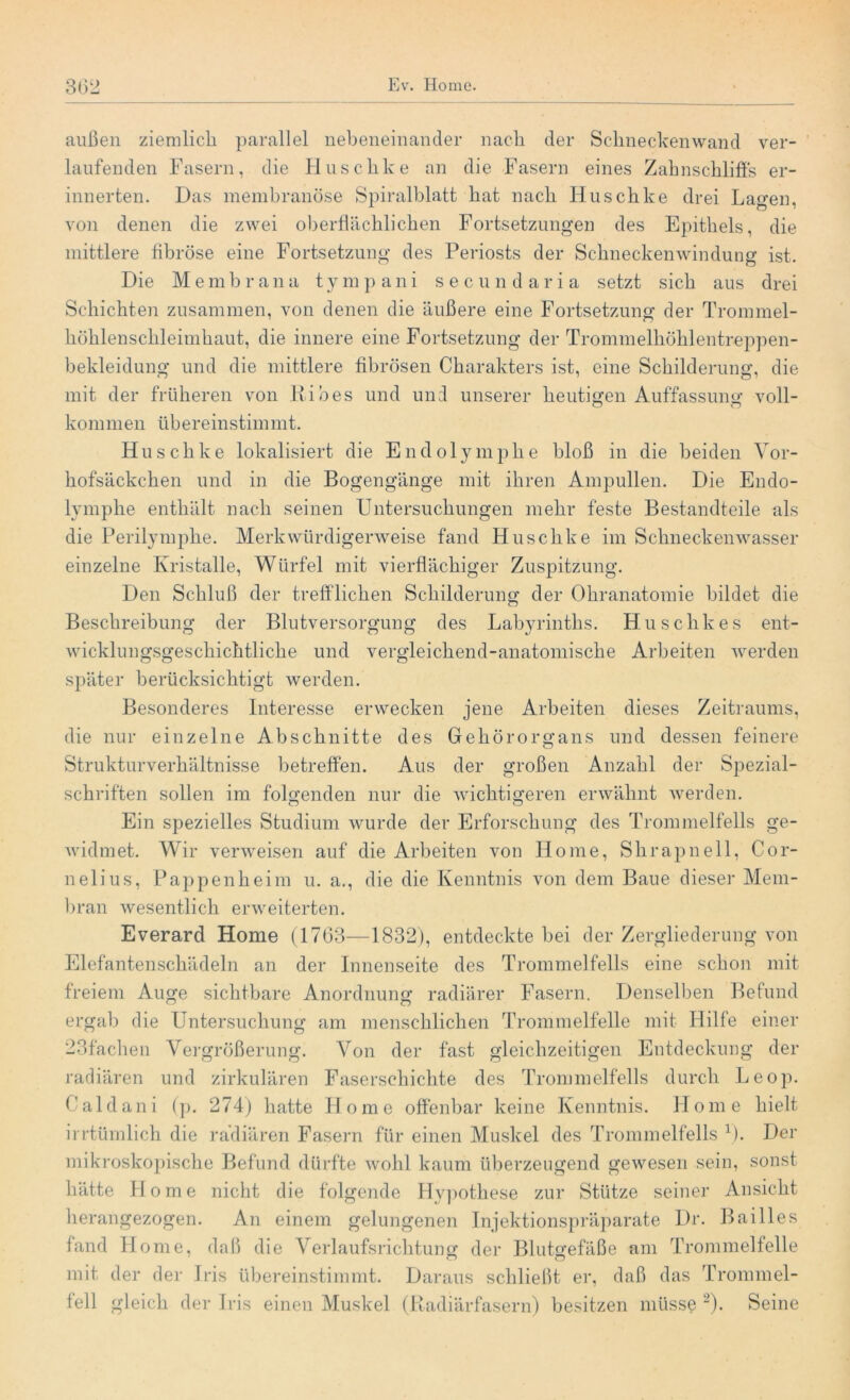 außen ziemlich parallel nebeneinander nach der Schneckenwand ver- laufenden Fasern, die Huschke an die Fasern eines Zahnschliffs er- innerten. Das membranöse Spiralblatt hat nach Huschke drei La^en. von denen die zwei oberflächlichen Fortsetzungen des Epithels, die mittlere fibröse eine Fortsetzung des Periosts der Schneckenwindung ist. Die M e m b r a na tympani sec u n d a r i a setzt sich aus drei Schichten zusammen, von denen die äußere eine Fortsetzung der Trommel- höhlenschleimhaut, die innere eine Fortsetzung der Trommelhöhlentreppen- bekleidung und die mittlere fibrösen Charakters ist, eine Schilderung, die mit der früheren von Hin es und und unserer heutigen Auffassung voll- o o kommen übereinstimmt. Huschke lokalisiert die Endolymphe bloß in die beiden Vor- hofsäckchen und in die Bogengänge mit ihren Ampullen. Die Endo- lymphe enthält nach seinen Untersuchungen mehr feste Bestandteile als die Perilymphe. Merkwürdigerweise fand Huschke im Schneckenwasser einzelne Kristalle, Würfel mit vierflächiger Zuspitzung. Den Schluß der trefflichen Schilderung der Ohranatomie bildet die Beschreibung der Blutversorgung des Labyrinths. Husch kes ent- wicklungsgeschichtliche und vergleichend-anatomische Arbeiten werden später berücksichtigt werden. Besonderes Interesse erwecken jene Arbeiten dieses Zeitraums, die nur einzelne Abschnitte des Gehörorgans und dessen feinere Strukturverhältnisse betreffen. Aus der großen Anzahl der Spezial- schriften sollen im folgenden nur die wichtigeren erwähnt werden. Ein spezielles Studium wurde der Erforschung des Trommelfells ge- widmet. Wir verweisen auf die Arbeiten von Home, Shrapnell, Cor- nelius, Pappenheim u. a., die die Kenntnis von dem Baue dieser Mem- bran wesentlich erweiterten. Everard Home (1763—1832), entdeckte bei der Zergliederung von Elefantenschädeln an der Innenseite des Trommelfells eine schon mit freiem Auge sichtbare Anordnung radiärer Fasern. Denselben Befund ergab die Untersuchung am menschlichen Trommelfelle mit Hilfe einer 23fachen Vergrößerung. Von der fast gleichzeitigen Entdeckung der radiären und zirkulären Faserschichte des Trommelfells durch Leop. Caldani (p. 274) hatte Home offenbar keine Kenntnis. Home hielt irrtümlich die radiären Fasern für einen Muskel des Trommelfells 1). Der mikroskopische Befund dürfte wohl kaum überzeugend gewesen sein, sonst hätte Home nicht die folgende Hypothese zur Stütze seiner Ansicht herangezogen. An einem gelungenen Injektionspräparate Dr. Bailles fand Home, daß die Verlaufsrichtung der Blutgefäße am Trommelfelle mit der der Iris übereinstimmt. Daraus schließt er, daß das Trommel- fell gleich der Iris einen Muskel (Radiärfasern) besitzen müsse 2). Seine