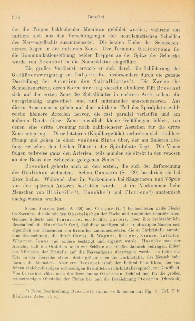 der die Treppe bekleidenden Membran gebildet werden, während das mittlere sich aus den Verschlingungen der neurilematischen Scheiden des Nervengeflechts zusammensetzt. Die letzten Enden des Schnecken- nerven liegen in der mittleren Zone. Der Terminus Helicotrema für die Kommunikationsöffnung beider Treppen an der Spitze der Schnecke wurde von Breschet in die Nomenklatur eingeführt. Ein großes Verdienst erwarb er sich durch die Schilderung der Gefäßverzweigung im Labyrinthe, insbesondere durch die genaue Darstellung der Arterien des Spiralblattes3). Die Zweige der Schneckenarterie, deren So emmerring vierzehn abbildete, läßt Breschet sich auf der ersten Zone des Spiralblattes in mehrere Aeste teilen, die unregelmäßig angeordnet sind und miteinander anastomosieren. Aus diesen Anastomosen gehen auf dem mittleren Teil der Spiralplatte zahl- reiche kleinere Arterien hervor, die fast parallel verlaufen und am äußeren Rande dieser Zone unendlich kleine Gefäßbogen bilden, von denen eine dritte Ordnung noch zahlreicherer Aestchen für die dritte Zone entspringt. Diese letzteren (Kapillargefäße) verbreiten sich strahlen- förmig und gehen in einen venösen Sinus über, der am äußeren Um- fang zwischen den beiden Blättern der Spiralplatte liegt. Die Venen folgen teilweise ganz den Arterien, teils münden sie direkt in den venösen an der Basis der Schnecke gelegenen Sinus*). Breschet gehörte auch zu den ersten, die sich der Erforschung der Otolithen widmeten. Schon Casserio (S. 120) beschrieb sie bei Esox lucius. Während aber ihr Vorkommen bei Säugetieren und Vögeln von den späteren Autoren bestritten wurde, ist ihr Vorkommen beim Menschen von Blainville4), Huschke5) und Flourens0) anatomisch nachgewiesen worden. Schon Scarpa (siehe S. 260) und Comparetti7) beobachteten weiße Flecke im Sacculus, die sie mit den Ohrsteinchen der Fische und Amphibien identifizierten. Genauer äußerte sich Blainville, ein Schüler Cuviers, über ihre kreideähnliche Beschaffenheit. Huschke8) fand, daß diese mehligen oder kreideartigen Massen sich eigentlich aus Tausenden von Kristallen zusammensetzen, die er Ohrkristalle nannte, eine Beobachtung, die durch Carus, R. Wagner, Krieger, Krause, Valentin, W har ton Jones und andere bestätigt und ergänzt wurde. Huschke war der Ansicht, daß die Otolithen auch zur Schärfe des Gehörs dadurch beitrügen, indem das Vibrieren der Kristalle auf die Nervenfasern übertragen werde. Je tiefer das Tier in der Tierreihe stehe, desto größer seien die Ohrkristalle, der Mensch habe darum die kleinsten. Aber erst Breschet erhob den Befund Huschkes, der von feinen säulchenförmigen sechsseitigen Kriställchen (Ohrkristalle) sprach, zur Gewißheit. Von Breschet rührt auch die Bezeichnung Otolithen (Gehörsteine) für die großen schmelzartigen Ohrsteine der Fische her und die Bezeichnung Otoconia (Ohrstaub) *) Diese Beschreibung Breschets stimmt vollkommen mit Fig. 3, Taf. II in Eichlers Arbeit (1. c.).