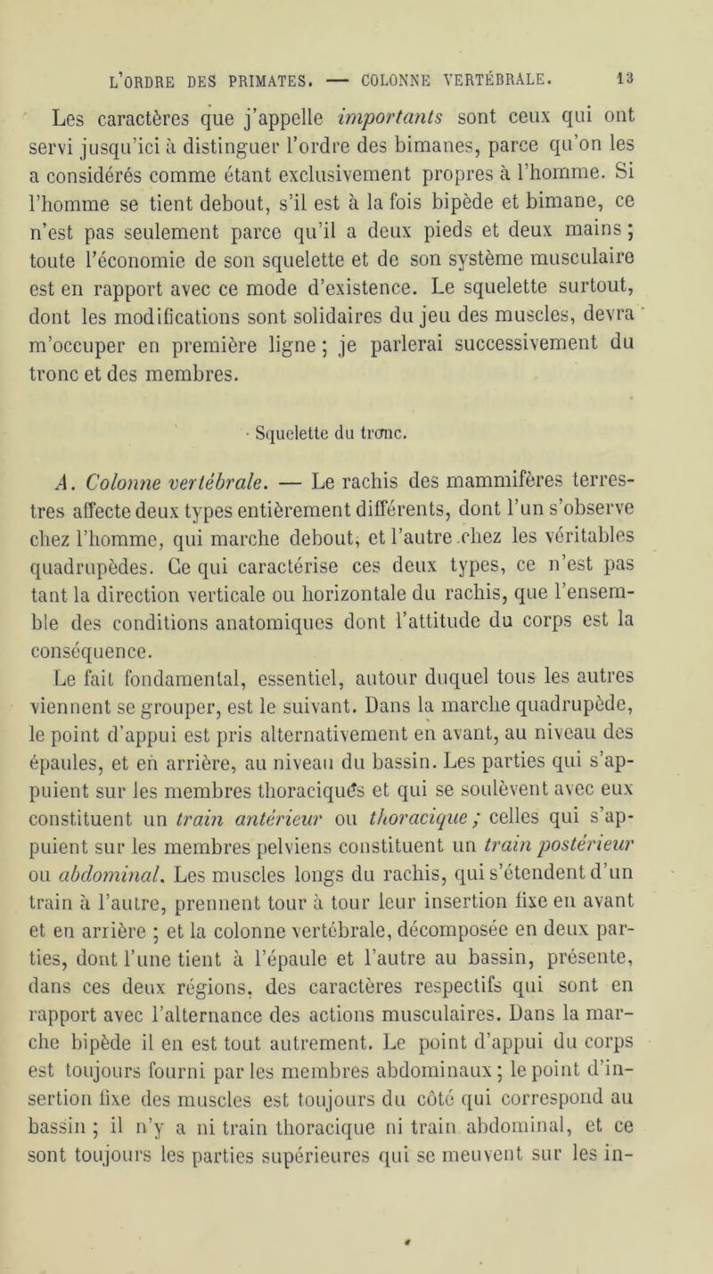 Les caractères que j’appelle importants sont ceux qui ont servi jusqu’ici à distinguer l’ordre des bimanes, parce qu’on les a considérés comme étant exclusivement propres à l’homme. Si l’homme se tient debout, s’il est à la fois bipède et bimane, ce n’est pas seulement parce qu’il a deux pieds et deux mains ; toute l’économie de son squelette et de son système musculaire est en rapport avec ce mode d’existence. Le squelette surtout, dont les modifications sont solidaires du jeu des muscles, devra m’occuper en première ligne ; je parlerai successivement du tronc et des membres. Squelette du trcrnc. A. Colonne vertébrale. — Le rachis des mammifères terres- tres affecte deux types entièrement différents, dont l’un s’observe chez l’homme, qui marche debout, et l’autre chez les véritables quadrupèdes. Ce qui caractérise ces deux types, ce n’est pas tant la direction verticale ou horizontale du rachis, que l’ensem- ble des conditions anatomiques dont l’attitude du corps est la conséquence. Le fait fondamental, essentiel, autour duquel tous les autres viennent se grouper, est le suivant. Dans la marche quadrupède, le point d’appui est pris alternativement en avant, au niveau des épaules, et eh arrière, au niveau du bassin. Les parties qui s’ap- puient sur les membres thoraciqués et qui se soulèvent avec eux constituent un train antérieur ou thoracique ; celles qui s’ap- puient sur les membres pelviens constituent un train postérieur ou abdominal. Les muscles longs du rachis, qui s’étendent d’un train à l’autre, prennent tour à tour leur insertion fixe en avant et en arrière ; et la colonne vertébrale, décomposée en deux par- ties, dont l’une tient à l’épaule et l’autre au bassin, présente, dans ces deux régions, des caractères respectifs qui sont en rapport avec l’alternance des actions musculaires. Dans la mar- che bipède il en est tout autrement. Le point d’appui du corps est toujours fourni parles membres abdominaux; le point d’in- sertion fixe des muscles est toujours du côté qui correspond au bassin ; il n’y a ni train thoracique ni train abdominal, et ce sont toujours les parties supérieures qui se meuvent sur les in-