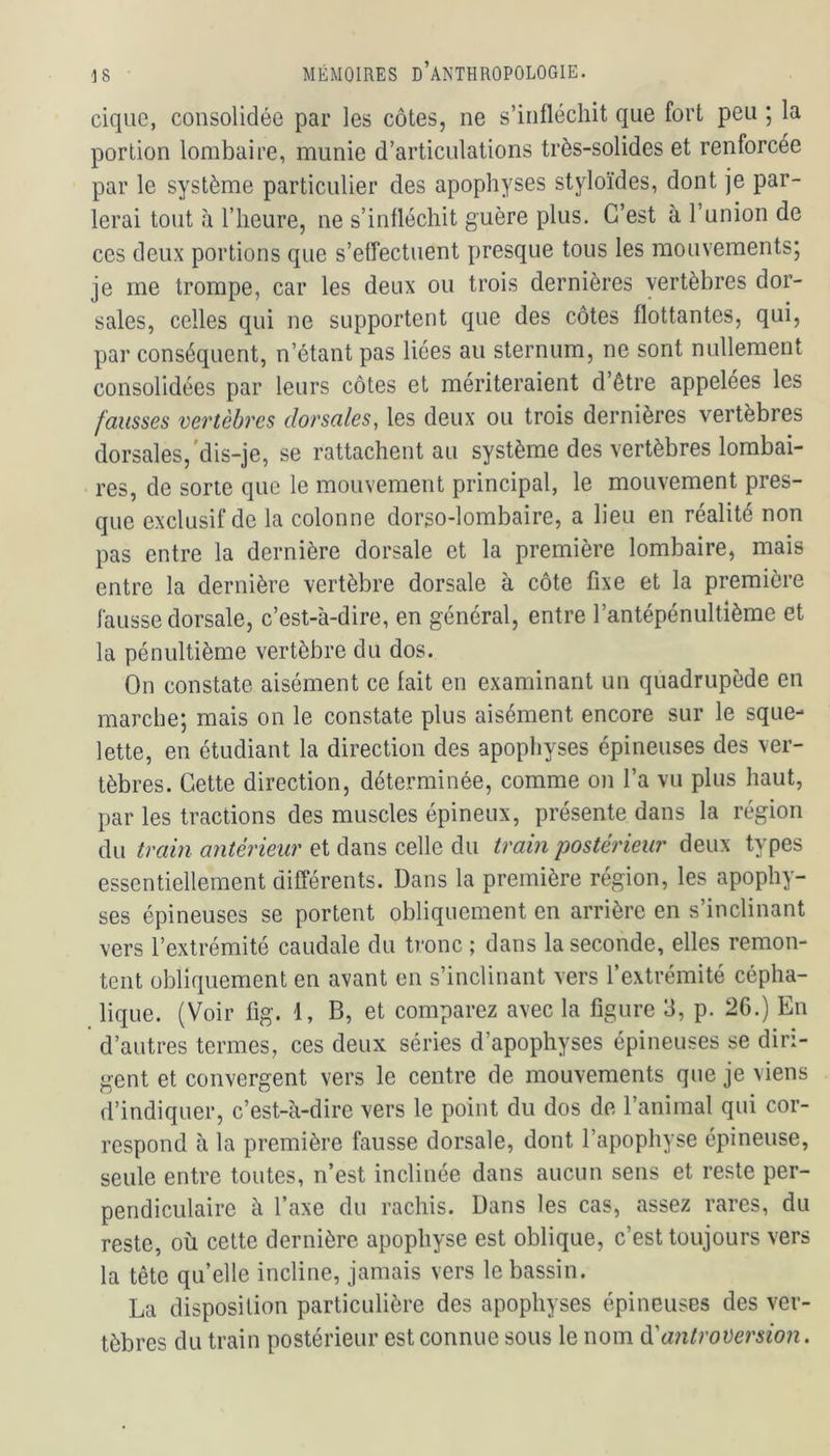 cique, consolidée par les côtes, ne s’infléchit que fort peu ; la portion lombaire, munie d’articulations très-solides et renforcée par le système particulier des apophyses styloïdes, dont je par- lerai tout à l’heure, ne s’infléchit guère plus. C’est à l’union de ces deux portions que s’effectuent presque tous les mouvements; je me trompe, car les deux ou trois dernières vertèbres dor- sales, celles qui ne supportent que des côtes flottantes, qui, par conséquent, n’étant pas liées au sternum, ne sont nullement consolidées par leurs côtes et mériteraient d’être appelées les fausses vertèbres dorsales, les deux ou trois dernières vertèbres dorsales, dis-je, se rattachent au système des vertèbres lombai- res, de sorte que le mouvement principal, le mouvement pres- que exclusif de la colonne dorso-lombaire, a lieu en réalité non pas entre la dernière dorsale et la première lombaire, mais entre la dernière vertèbre dorsale à côte fixe et la première fausse dorsale, c’est-à-dire, en général, entre l’antépénultième et la pénultième vertèbre du dos. On constate aisément ce fait en examinant un quadrupède en marche; mais on le constate plus aisément encore sur le sque- lette, en étudiant la direction des apophyses épineuses des ver- tèbres. Cette direction, déterminée, comme on l’a vu plus haut, par les tractions des muscles épineux, présente dans la région du train antérieur et dans celle du train postérieur deux types essentiellement différents. Dans la première région, les apophy- ses épineuses se portent obliquement en arrière en s’inclinant vers l’extrémité caudale du tronc ; dans la seconde, elles remon- tent obliquement en avant en s’inclinant vers l’extrémité cépha- lique. (Voir fig. 1, B, et comparez avec la figure 3, p. 26.) En d’autres termes, ces deux séries d’apophyses épineuses se diri- gent et convergent vers le centre de mouvements que je viens d’indiquer, c’est-à-dire vers le point du dos de l’animal qui cor- respond à la première fausse dorsale, dont l’apophyse épineuse, seule entre toutes, n’est inclinée dans aucun sens et reste per- pendiculaire à faxe du rachis. Dans les cas, assez rares, du reste, où cette dernière apophyse est oblique, c’est toujours vers la tête qu’elle incline, jamais vers le bassin. La disposition particulière des apophyses épineuses des ver- tèbres du train postérieur est connue sous le nom d'antroversion.