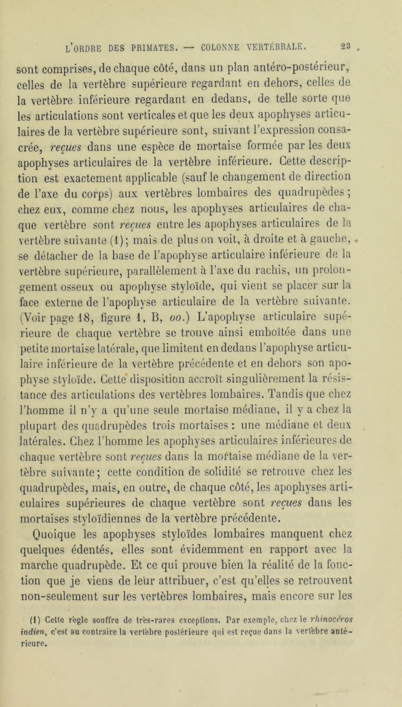 sont comprises, de chaque côté, dans un plan antéro-postérieur, celles de la vertèbre supérieure regardant en dehors, celles de la vertèbre inférieure regardant en dedans, de telle sorte que les articulations sont verticales et que les deux apophyses articu- laires de la vertèbre supérieure sont, suivant l’expression consa- crée, reçues dans une espèce de mortaise formée par les deux apophyses articulaires de la vertèbre inférieure. Cette descrip- tion est exactement applicable (sauf le changement de direction de l’axe du corps) aux vertèbres lombaires des quadrupèdes ; chez eux, comme chez nous, les apophyses articulaires de cha- que vertèbre sont reçues entre les apophyses articulaires de la vertèbre suivante (1); mais de pinson voit, à droite et à gauche, se détacher de la base de l’apophyse articulaire inférieure de la vertèbre supérieure, parallèlement à l’axe du rachis, un prolon- gement osseux ou apophyse styloïde, qui vient se placer sur la face externe de l’apophyse articulaire de la vertèbre suivante. (Voir page 18, figure 1, B, oo.) L’apophyse articulaire supé- rieure de chaque vertèbre se trouve ainsi emboîtée dans une petite mortaise latérale, que limitent en dedans l’apophyse articu- laire inférieure de la vertèbre précédente et en dehors son apo- physe styloïde. Cette disposition accroît singulièrement la résis- tance des articulations des vertèbres lombaires. Tandis que chez l’homme il n’y a qu’une seule mortaise médiane, il y a chez la plupart des quadrupèdes trois mortaises : une médiane et deux latérales. Chez l’homme les apophyses articulaires inférieures de chaque vertèbre sont reçues dans la mortaise médiane de la ver- tèbre suivante; cette condition de solidité se retrouve chez les quadrupèdes, mais, en outre, de chaque côté, les apophyses arti- culaires supérieures de chaque vertèbre sont reçues dans les mortaises styloïdiennes de la vertèbre précédente. Quoique les apophyses styloïdes lombaires manquent chez quelques édentés, elles sont évidemment en rapport avec la marche quadrupède. Et ce qui prouve bien la réalité de la fonc- tion que je viens de leur attribuer, c’est qu’elles se retrouvent non-seulement sur les vertèbres lombaires, mais encore sur les (1) Cette réglé souffre de très-rares exceptions. Par exemple, chez ie rhinocéros indien, c’est au contraire la vertèbre postérieure qui est reçue dans la vertèbre anté- rieure.