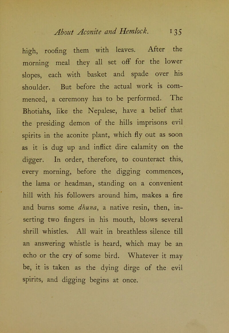 high, roofing them with leaves. After the morning meal they all set off for the lower slopes, each with basket and spade over his shoulder. But before the actual work is com- menced, a ceremony has to be performed. The Bhotiahs, like the Nepalese, have a belief that the presiding demon of the hills imprisons evil spirits in the aconite plant, which fly out as soon as it is dug up and inflict dire calamity on the digger. In order, therefore, to counteract this, every morning, before the digging commences, the lama or headman, standing on a convenient hill with his followers around him, makes a fire and burns some dhutia, a native resin, then, in- serting two fingers in his mouth, blows several shrill whistles. All wait in breathless silence till an answering whistle is heard, which may be an echo or the cry of some bird. Whatever it may be, it is taken as the dying dirge of the evil spirits, and digging begins at once.