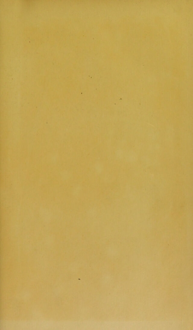 digitised image 3