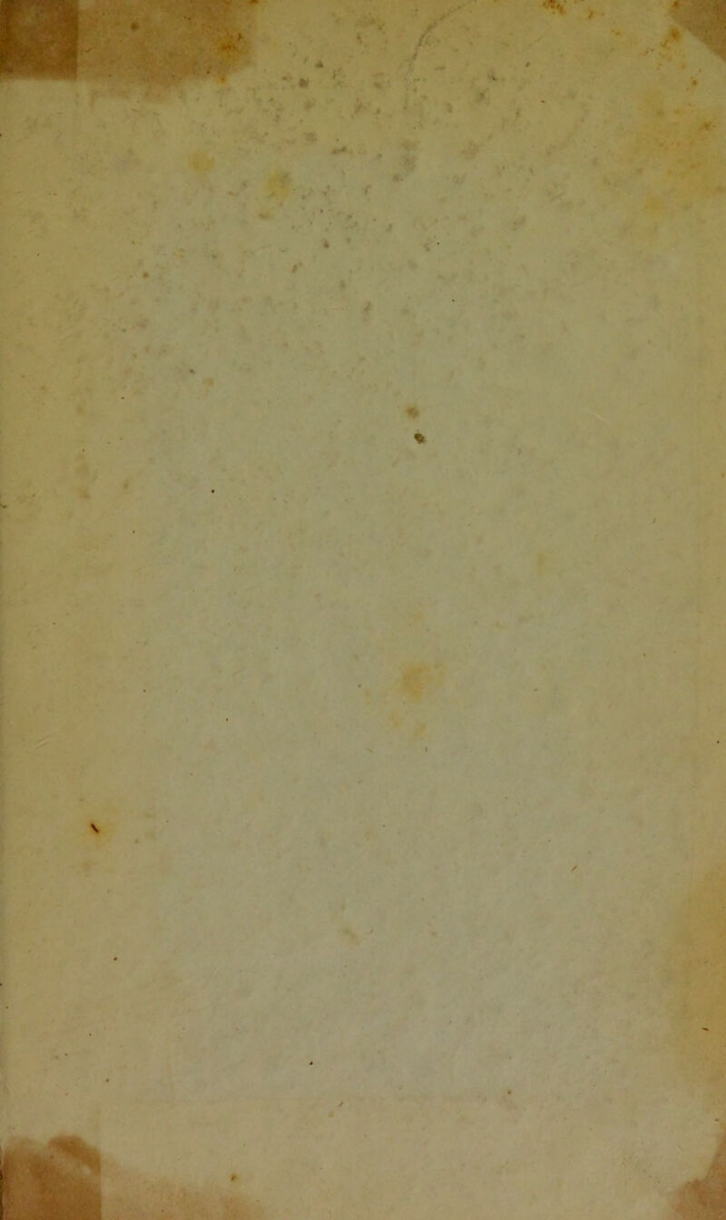 K* m A, , t % % • /*'> , /. i ■t ' V r • # .. i;l. *( ■ '•t mA >• t 4 » Ji 4 ' .••i' 4 ♦ *•■ 4 % ^ ■ V / « l / '» » . *».