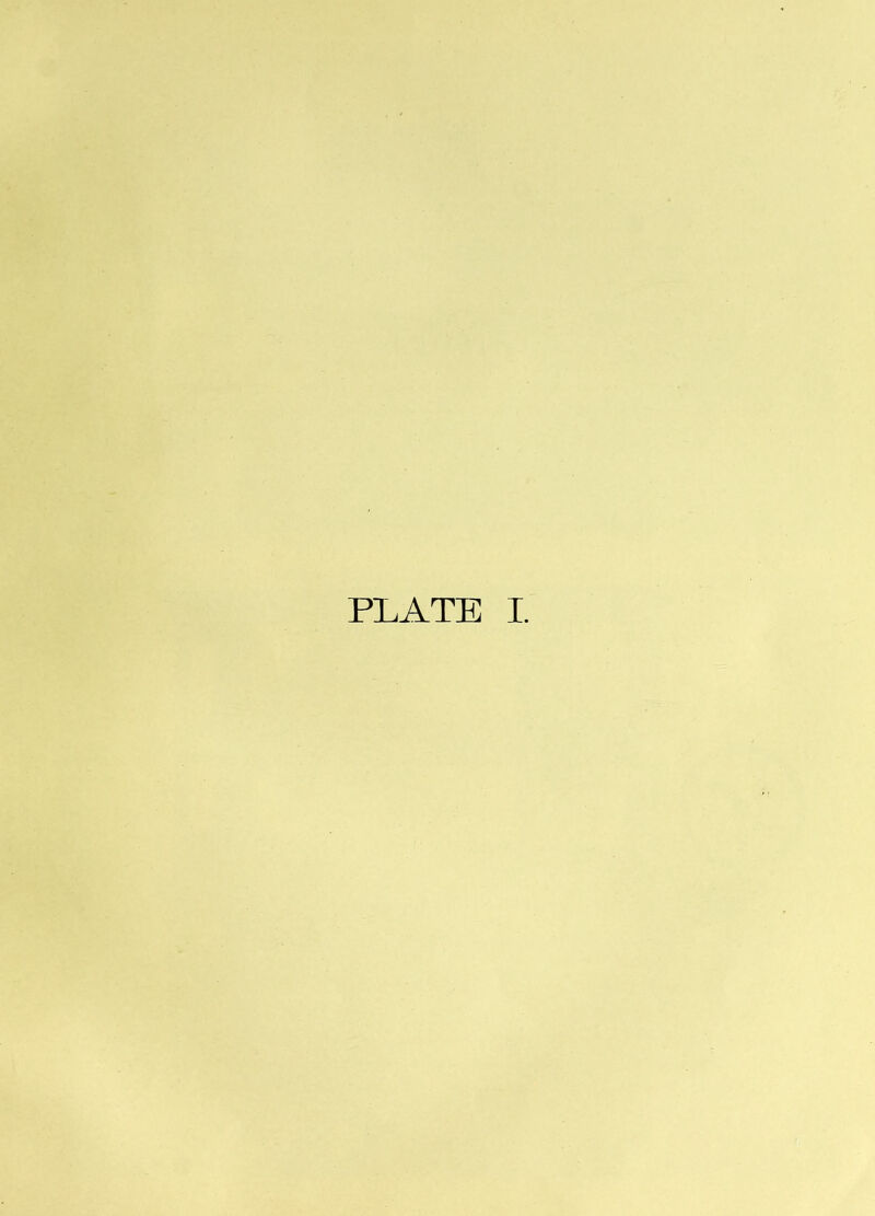 PLATE I.