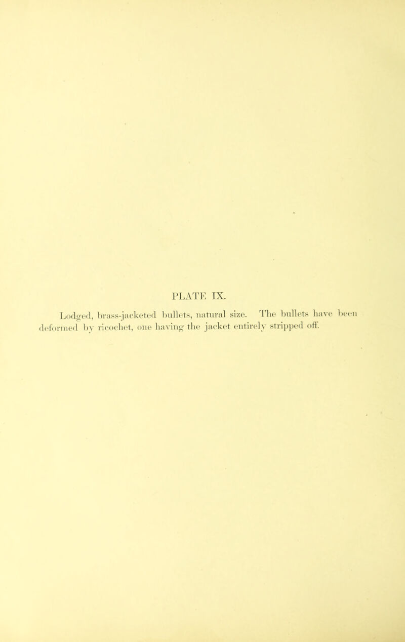 Lodged, deformed by l)rass-)acketed l)ullets, natural size. The bullets have been rieoeliet, one having' the jacket entirely stri])])ed oil.