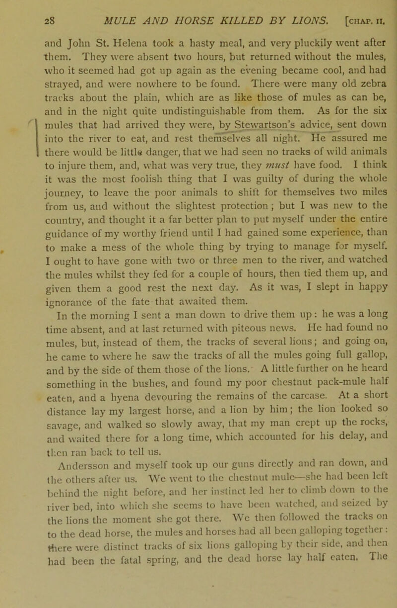 and John St. Helena took a hasty meal, and very pluckily went after tliem. They were absent two hours, but returned without the mules, who it seemed had got up again as the evening became cool, and had strayed, and were nowhere to be found. There were many old zebra tracks about the plain, which are as like those of mules as can be, and in the night quite undistinguishable from them. As for the six mules that had arrived they were, by Stewartson’s advice, sent down into the river to eat, and rest themselves all night. He assured me there would be little danger, that we had seen no tracks of wild animals to injure them, and, what was very true, they 7nust have food. I think it was the most foolish thing that I was guilty of during the whole journey, to leave the poor animals to shift for themselves two miles from us, and without the slightest protection ; but I was new to the country', and thought it a far better plan to put myself under the entire guidance of my worthy friend until 1 had gained some experience, than to make a mess of the whole thing by trying to manage for myself. I ought to have gone with two or three men to the river, and watched the mules whilst they fed for a couple of hours, then tied them up, and given them a good rest the next day. As it was, I slept in happy ignorance of the fate that awaited them. In the morning I sent a man down to drive them up: he was a long time absent, and at last returned with piteous news. He had found no mules, but, instead of them, the tracks of several lions; and going on, he came to where he saw the tracks of all the mules going full gallop, and by the side of them those of the lions. A little further on he hear d something in the bushes, and found my poor chestnut pack-mule half eaten, and a hyena devouring the remains of the carcase. At a short distance lay my largest horse, and a lion by him; the lion looked so savage, and walked so slowly away, that my man crept up the rocks, and waited there for a long time, which accounted for his delay, and ll-.cn ran back to tell us. Andersson and myself took up our guns directly and ran down, and Ihe others after us. We went to the chestnut mule—she had been left behind the night before, and her instinct led her to climb down to the river bed, into which she seems to have been watched, ami seized by the lions the moment she got there. We then followed the tracks on to the dead horse, the mules and horses had all been galloping together: there were distinct tracks of six lions galloping by their side, and then had been the fatal spring, and the dead horse lay half eaten. The