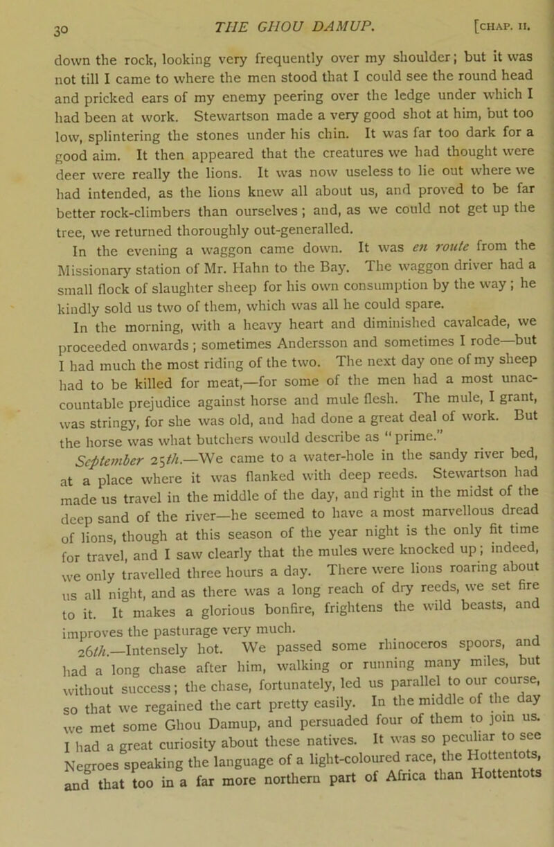 down the rock, looking very frequently over my shoulder; but it was not till I came to where the men stood that I could see the round head and pricked ears of my enemy peering over the ledge under which I had been at work. Stewartson made a very good shot at him, but too low, splintering the stones under his chin. It was far too dark for a good aim. It then appeared that the creatures we had thought were deer were really the lions. It was now useless to lie out where we had intended, as the lions knew all about us, and proved to be far better rock-climbers than ourselves ; and, as we could not get up the tree, we returned thoroughly out-generalled. In the evening a waggon came down. It was C7i route from the Missionary station of Mr. Hahn to the Bay. The waggon driver had a small flock of slaughter sheep for his own consumption by the way ; he kindly sold us two of them, which was all he could spare. In the morning, with a heavy heart and diminished cavalcade, we proceeded onwards ; sometimes Andersson and sometimes I rode—but I had much the most riding of the two. The next day one of my sheep had to be killed for meat,—for some of the men had a most unac- countable prejudice against horse and mule flesh. The mule, I grant, was stringy, for she was old, and had done a great deal of work. But the horse was what butchers would describe as prime. September 25//<.—We came to a water-hole in the sandy river bed, at a place where it was flanked with deep reeds. Stewartson had made us travel in the middle of the day, and right in the midst of the deep sand of the river-he seemed to have a most marvellous dread of lions, though at this season of the year night is the only fit time for travel, and I saw clearly that the mules were knocked up; indeed, we only travelled three hours a day. There were lions roaring about us all night, and as there was a long reach of dry reeds, we set fire to it. It makes a glorious bonfire, frightens the wild beasts, and improves the pasturage very much. 26/A.—Intensely hot. We passed some rhinoceros spoors, and had a long chase after him, walking or running many miles, but without success; the chase, fortunately, led us parallel to our course, so that we regained the cart pretty easily. In the middle of die day we met some Ghou Damup, and persuaded four of them to join us. I had a great curiosity about these natives. It was so peculiar to see Negroes speaking the language of a light-coloured race, the and that too in a far more northern part of Afnca than Hottentots