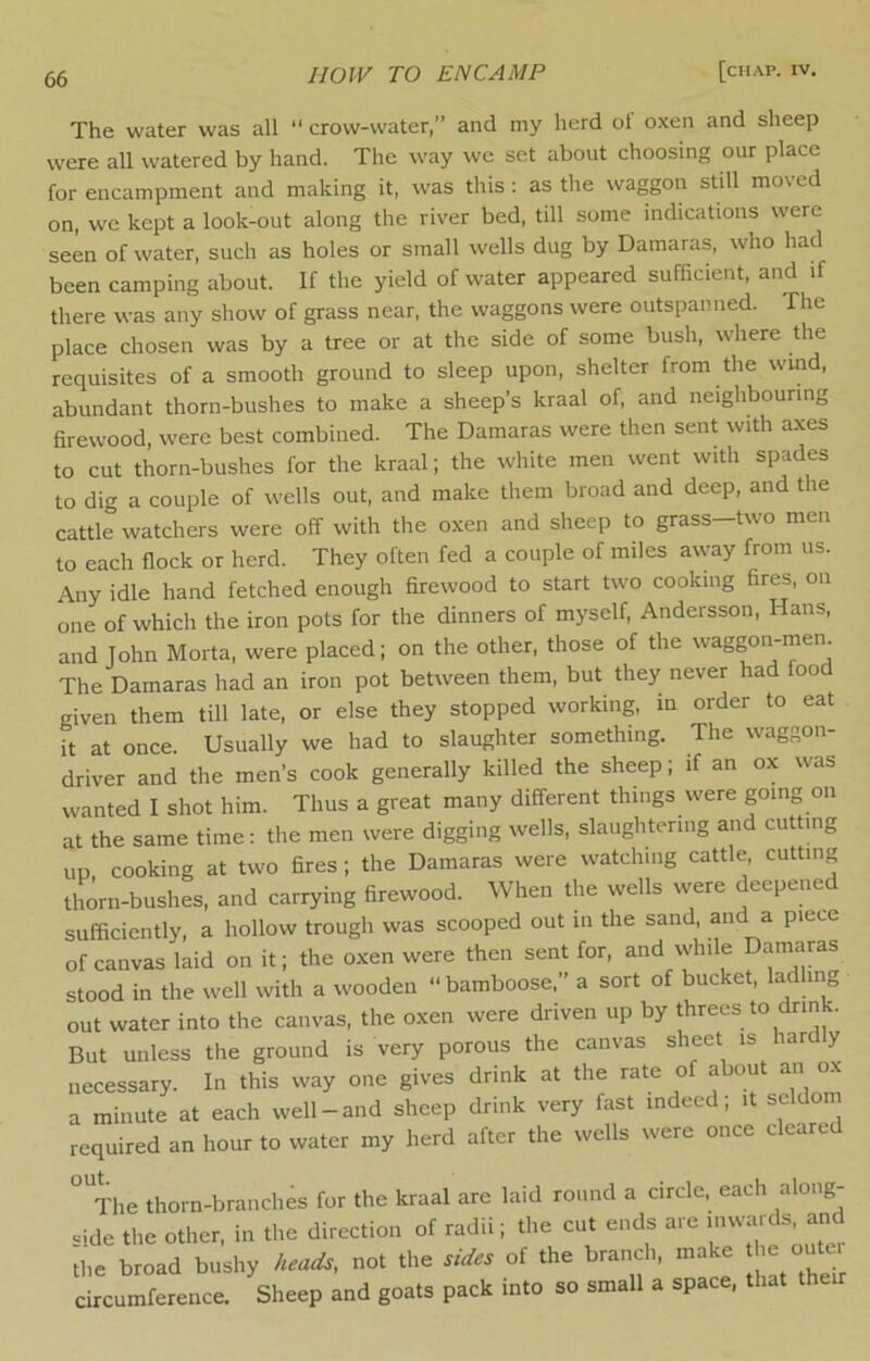 The water was all “ crow-water,” and my herd ol oxen and sheep were all watered by hand. The way we set about choosing our place for encampment and making it, was this : as the waggon still moved on, we kept a look-out along the river bed, till some indications were seen of water, such as holes or small wells dug by Damaras, who had been camping about. If the yield of water appeared sufficient, and if there was any show of grass near, the waggons were outspanned. The place chosen was by a tree or at the side of some bush, where the requisites of a smooth ground to sleep upon, shelter from the wmd, abundant thorn-bushes to make a sheep’s kraal of, and neighbouring hrewood, were best combined. The Damaras were then sent with axes to cut thorn-bushes for the kraal; the white men went with spades to dig a couple of wells out, and make them broad and deep, and the cattle watchers were off with the oxen and sheep to grass—two men to each flock or herd. They often fed a couple of miles away from us. Any idle hand fetched enough firewood to start two cooking fires, on one of which the iron pots for the dinners of myself, Andersson, Hans, and John Morta, were placed; on the other, those of the waggon-men. The Damaras had an iron pot between them, but they never had food given them till late, or else they stopped working, in order to eat it at once. Usually we had to slaughter something. The waggon- driver and the men’s cook generally killed the sheep; if an ox was wanted I shot him. Thus a great many different things were going on at the same time; the men were digging wells, slaughtering and cutting up cooking at two fires; the Damaras were watching cattle, cutting thorn-bushes, and carrying firewood. When the wells were deepened sufficiently, a hollow trough was scooped out in the sand, and a piece of canvas laid on it; the oxen were then sent for, and while Damaras stood in the well with a wooden bamboose,” a sort of bucket, ladling out water into the canvas, the oxen were driven up by threes to drink. But unless the ground is very porous the canvas sheet is hardly necessary. In this way one gives drink at the rate of about an ox a minute at each well-and sheep drink very fast indeed; it seldom required an hour to water my herd after the wells ivere once cleared °^The thorn-branches for the kraal are laid round a circle, each along- side the other, in the direction of radii; the cut ends are the broad bushy heads, not the sides of the branch, make he outer circumference. Sheep and goats pack into so small a space, that their