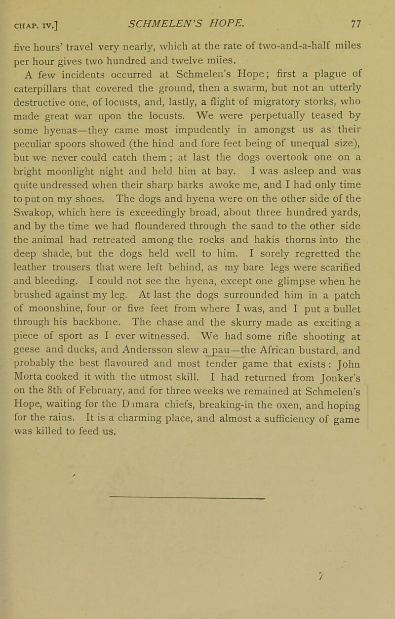 five hours’ travel very nearly, which at the rate of two-and-a-half miles per hour gives two hundred and twelve miles. A few incidents occurred at Schmelen’s Hope; first a plague of caterpillars that covered the ground, then a swarm, but not an utterly destructive one, of locusts, and, lastly, a flight of migratory storks, who made great war upon the locusts. We were perpetually teased by some hyenas—they came most impudently in amongst us as their peculiar spoors showed (the hind and fore feet being of unequal size), but we never could catch them ; at last the dogs overtook one on a bright moonlight night and held him at bay. I was asleep and was quite undressed when their sharp barks awoke me, and I had only time to put on my shoes. The dogs and hyena were on the other side of the Swakop, which here is exceedingly broad, about three hundred yards, and by the time we had floundered through the sand to the other side the animal had retreated among the rocks and hakis thorns into the deep shade, but the dogs held well to him. I sorely regretted the leather trousers that were left behind, as my bare legs were scarified and bleeding. I could not see the hyena, except one glimpse when he brushed against my leg. At last the dogs surrounded him in a patch of moonshine, four or five feet from where I was, and I put a bullet through his backbone. The chase and the skurry made as exciting a piece of sport as I ever witnessed. We had some rifle shooting at geese and ducks, and Andersson slew ^au—the African bustard, and probably the best flavoured and most tender game that exists: John Morta cooked it with the utmost skill. I had returned from Jonker’s on the 8th of February, and for three weeks we remained at Schmelen’s Hope, waiting for the D.imara chiefs, breaking-in the oxen, and hoping for the rains. It is a charming place, and almost a sufficiency of game was killed to feed us.