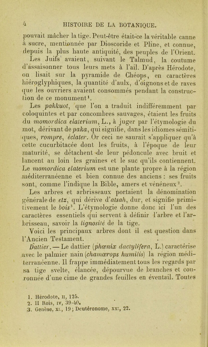 pouvait mâcher la tige. Peut-être était-ce la véritable canne à sucre, mentionnée par Dioscoride et Pline, et connue, depuis la plus haute antiquité, des peuples de l’Orient. Les Juifs avaient, suivant le Talmud, la coutume d’assaisonner tous leurs mets à l’ail. D’après Hérodote, on lisait sur la pyramide de Chéops, en caractères hiéroglyphiques, la quantité d’aulx, d’oignons et de raves que les ouvriers avaient consommés pendant la construc- tion de ce monument1. Les pakkuot, que l’on a traduit indifféremment par coloquintes et par concombres sauvages, étaient les fruits du momordica elalerium, L., à juger par l’étymologie du mot, dérivant de paha, qui signifie, dans les idiomes sémiti- ques, rompre, éclater. Or ceci ne saurait s’appliquer qu’à cette cucurbitacée dont les fruits, à l’époque de leur maturité, se détachent de leur pédoncule avec bruit et lancent au loin les graines et le suc qu’ils contiennent. Le momordica elaterium est une plante propre à la région méditerranéenne et bien connue des anciens : ses fruits sont, comme l’indique la Bible, amers et vénéneux2 3. Les arbres et arbrisseaux portaient la dénomination générale de etz, qui dérive d’atsa/i, dur, et signifie primi- tivement le bois*. L’étymologie donne donc ici l’un des caractères essentiels qui servent à définir l’arbre et l’ar- brisseau, savoir la lignosilè de la tige. Voici les principaux arbres dont il est question dans l’Ancien Testament. Dattier. — Le dattier [pliœnix dactylifera, L.) caractérise .avec le palmier nain [chamœrops humilis) la région médi- terranéenne. Il frappe immédiatement tous les regards par sa tige svelte, élancée, dépourvue de branches et cou- ronnée d’une cime de grandes feuilles en éventail. Toutes 1. Hérodote, il, 125. 2. II Rois, iv, 39-40. 3. Genèse, xi., 19; Deutéronome, xxr, 22.