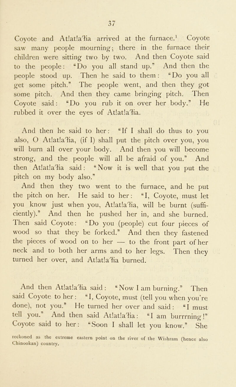 Coyote and At!at!adia arrived at the furnaced Coyote saw many people mourning’; there in the furnace their children were sitting two by two. And then Coyote said to the people: “Do you all stand up.” And then the people stood up. Then he said to them: “Do you all get some pitch.” The people went, and then they got some pitch. And then they came bringing pitch. Then Coyote said: “Do you rub it on over her body.” He rubbed it over the eyes of At!at!adia. And then he said to her: “If I shall do thus to you also, O At!at!adia, (if I) shall put the pitch over you, you will burn all over your body. And then you will become strong, and the people will all be afraid of you.” And then At!at!adia said: “Now it is well that you put the pitch on my body also.” And then they two went to the furnace, and he put the pitch on her. He said to her: “I, Coyote, must let you know just when you, At!at!adia, will be burnt (suffi- ciently).” And then he pushed her in, and she burned. Then said Coyote: “Do you (people) cut four pieces of wood so that they be forked.” And then they fastened the pieces of wood on to her — to the front part of her neck and to both her arms and to her legs. Then they turned her over, and At!at!adia burned. And then At!at!adia said: “Now I am burning.” Then said Coyote to her : “I, Coyote, must (tell you when you’re done), not you.” He turned her over and said: “I must tell you.” And then said At!at!adia: “I am burrrning!” Coyote said to her: “Soon I shall let you know.” She reckoned as the extreme eastern point on the river of the Wishram (hence also Chinookan) country.