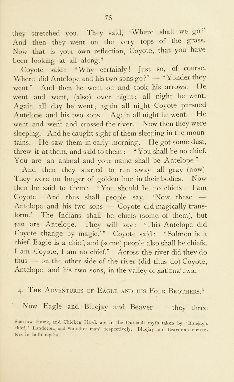 they stretched you. They said, ‘Where shall we go? And then they went on the very tops of the glass. Now that is your own reflection, Coyote, that you have been looking at all along.” Coyote said: “Why certainly! Just so, of course. Where did Antelope and his two sons go?” — “Yonder they went.” And then he went on and took his arrows. He went and went, (also) over night; all night he went. Again all day he went; again all night Coyote pursued Antelope and his two sons. Again all night he went. He went and went and crossed the river. Now then they were sleeping. And he caught sight of them sleeping in the moun- tains. He saw them in early morning. He got some dust, threw it at them, and said to them : “You shall be no chief. You are an animal and your name shall be Antelope.” And then they started to run away, all gray (now). They were no longer of golden hue in their bodies. Now then he said to them: “You should be no chiefs. lam Coyote. And thus shall people say, ‘Now these — Antelope and his two sons — Coyote did magically trans- form.’ The Indians shall be chiefs (some of them), but yoit are Antelope. They will say: ‘This Antelope did Coyote change by magic.’” Coyote said: “Salmon is a chief. Eagle is a chief, and (some) people also shall be chiefs. I am Coyote, I am no chief.” Across the river did they do thus — on the other side of the river (did thus do) Coyote, Antelope, and his two sons, in the valley of xatlsna^uwa. ^ 4. The Adventures of Eagle and his Four Brothers.” Now Eagle and Bluejay and Beaver — they three Sparrow Hawk, and Chicken Hawk are in the Qiiinaiilt myth taken by “Bluejay’s chief,” Landotter, and “another man” respectively. Bluejay and Beaver are charac- ters in both myths.