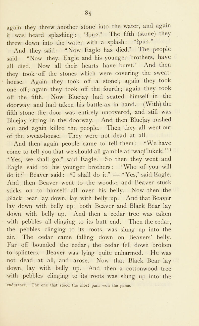 ai^ain they threw another stone into the water, and again it was heard splashing: “}pu2.” The fifth (stone) they threw down into the water with a splash: ‘^}pri2. And they said: “Now Eagle has died.” The people said: “Now they, Eagle and his younger brothers, have all died. Now all their hearts have burst.” And then they took off the stones which were covering the sweat- * house. Again they took off a stone •, again they took one off; again they took off the fourth ; again they took off the fifth. Now Bluejay had seated himself in the doorway and had taken his battle-ax in hand. (With) the fifth stone the door was entirely uncovered, and still was Bluejay sitting in the doorway. And then Bluejay rushed out and again killed the people. Then they all went out of the sweat-house. They were not dead at all. And then again people came to tell them: “We have come to tell you that we should all gamble at ^waqflukck. “Yes, we shall go,” said Eagle. So then they went and Eagle said to his younger brothers: “Who of you will do it?” Beaver said: “I shall do it.” — “Yes,” said Eagle. And then Beaver went to the woods; and Beaver stuck sticks on to himself all over his belly. Now then the Black Bear lay down, lay with belly up. And that Beaver lay down with belly up *, both Beaver and Black Bear lay down with belly up. And then a cedar tree was taken with pebbles all clinging to its butt end. Then the cedar, the pebbles clinging to its roots, was slung up into the air. The cedar came falling down on Beavers’ belly. Far off bounded the cedar; the cedar fell down broken to splinters. Beaver was lying quite unharmed. He was not dead at all, and arose. Now that Black Bear lay down, lay with belly up. And then a cottonwood tree with pebbles clinging to its roots was slung up into the endurance. The one that stood the most pain won the game.