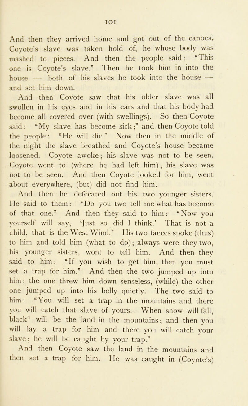 lOI And then they arrived home and got out of the canoes. Coyote’s slave was taken hold of, he whose body was mashed to pieces. And then the people said: “Ihis one is Coyote’s slave.” Then he took him in into the house — both of his slaves he took into the house — and set him down. And then Coyote saw that his older slave was all swollen in his eyes and in his ears and that his body had become all covered over (with swellings). So then Coyote said: “My slave has become sick;” and then Coyote told the people: “He will die.” Now then in the middle of the night the slave breathed and Coyote’s house became loosened. Coyote awoke; his slave was not to be seen. Coyote went to (where he had left him); his slave was not to be seen. And then Coyote looked for him, went about everywhere, (but) did not find him. And then he defecated out his two younger sisters. He said to them: “Do you two tell me what has become of that one.” And then they said to him: “Now you yourself will say, ‘Just so did I think.’ That is not a child, that is the West Wind.” His two faeces spoke (thus) to him and told him (what to do); always were they two, his younger sisters, wont to tell him. And then they said to him: “If you wish to get him, then you must set a trap for him.” And then the two jumped up into him; the one threw him down senseless, (while) the other one jumped up into his belly quietly. The two said to him: “You will set a trap in the mountains and there you will catch that slave of yours. When snow will fall, black^ will be the land in the mountains; and then you will lay a trap for him and there you will catch your slave; he will be caught by your trap.” And then Coyote saw the land in the mountains and then set a trap for him. He was caught in (Coyote’s)