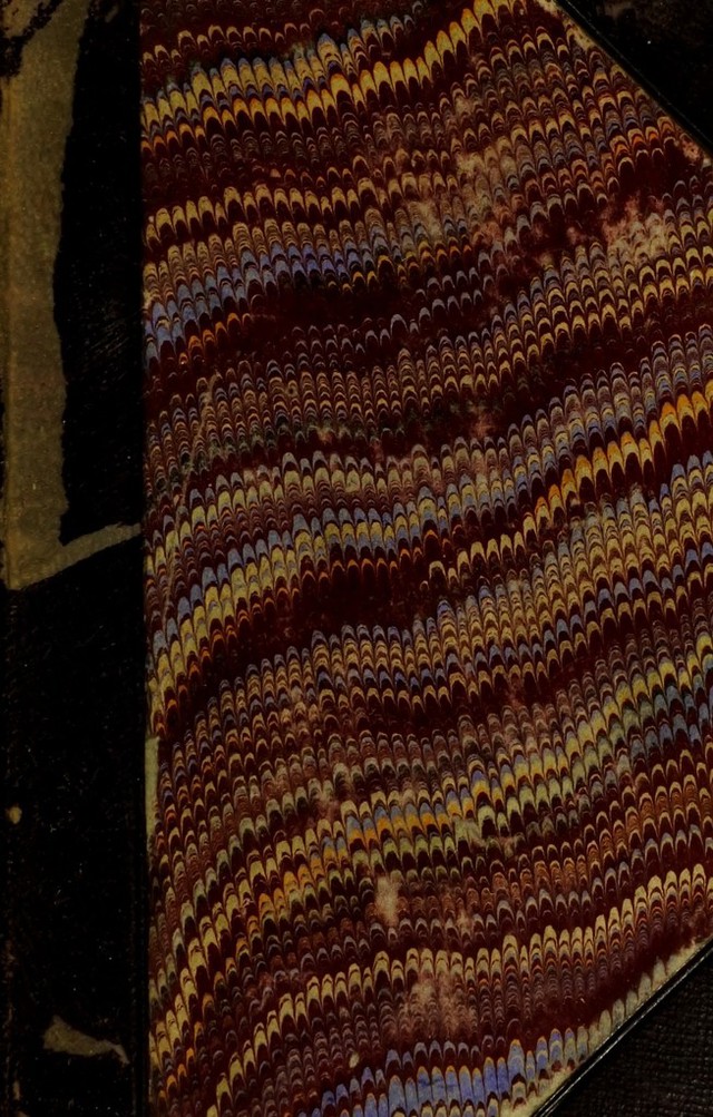 No text description is available for this image