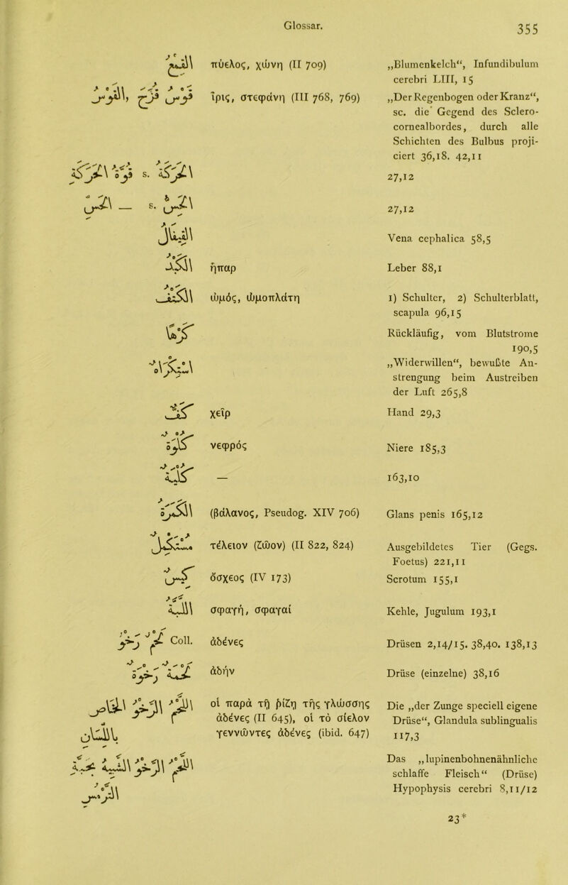 010553.Γ. πύελος, χώνη (II 709) „Β1αιηεηΐ£ε]ε1ι“, Ιηίιιηάίάιιΐιιιη οεΓεΒιί ΒΙΙΙ, 15 -* •'Γιι /<. > «ς £>* ο-_?9 ίρις, στεφάνη (III 768, 769) ,,ϋεΓΚεςεηΙιοςεη οάει·ΚΓ3.ηζ“, δε. άίε Οεςεηά άεδ δοΙείΌ- οοΓπεηΙύοΓάοΒ, άιίΓοΙι &11ε δείιίοΐιίεη άεδ ΒαΙΒιΐδ ρτομ- .Ρ'^'/ι >.ί>- Γ\ <0^,5-\ 0^3 5. \ οίεΓΐ 36,ιδ. 42,π 27,12 <*· 27,12 νεηα οερΗ&Ιίοδ. 58,5 ήπαρ ΒεΒεε 88, ι ς-τ ώμός, ώμοπλάτη ι) δοΙιαΙΙΟΓ, 2) δοΙιοΙΙειΒΙαΙΙ, δεαρυΐα 96,15 Κύοΐίΐδιιής, νοηι ΒΙιιΙδΙχοιηε 190,5 ^ \·'<Γ-° \ 0 ι \ „\νίάεΐΛνΠ1εη“, Βεννιιβίε Αη- δίΓεη^ιιη^ Βείηι ΑιΐδίΓεϊΒεη άεΓ ΙλιΓι 265,8 χειρ Ηαηά 29,3 Λ> νεφρός Νϊεεε 185,3 ΐίτ — 163,10 ζ^3\ (βάλανος, Ρδειιάος. XIV 706) 01;ιπ5 ρεηΐδ 165,12 τέλειον (£ώον) (II 822, 824) Αιΐδ^εΒίΙάεΙεδ ΤίεΓ (Οεςδ. *> <Γ υτ:1 ·* Γοοίΐΐδ) 221,11 όσχεος (IV 173) δοΓΟίιιιη 155>1 ><£* ιΛ\ σφαγή, σφαγαί Κείάε, ^^πΐιιιη 193,1 >; οοπ. άδένες ϋΓϋδεη 2,14/15.38,40. 138,13 Ο^»-^ Α*>. άδήν ΌΓίίδε (είηζεΐηε) 38,16 ^ >5 '> -) * οί παρά τή ήίΖη τής γλώσσης Όϊε ,,άοΓ Ζαηςε βρεοίεΐΐ εί^εηε αδένες (II 645), οί τό σίελον ϋΓϋδε“, Οΐαηάιιΐη. δαΒΙϊη§υα1ίδ ο^ν. γεννώντες άδένες (ίάΐά. 647) ιΐ7,3 £* '> ϋ&δ ,,ΙιψϊηεηΒοΙιηεη&ΙιηΙΐοΙιε δείιΙαΡΓε ΡΊεΐδο1ι“ (Οηίδε) ΗγρορΗγδίδ οεΓοάπ 8,ιι/ΐ2