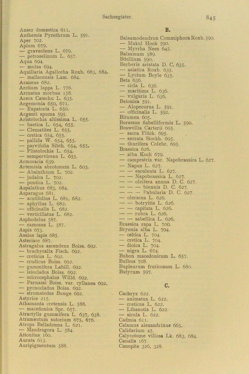 Anser domestica 61X. Anthemis Pyrethrum L. 591. Aper 702. Apium 679* — graveolens L. 679. — petroselinum L. 657- Aqua 694. — mulsa 694. Aquillaria Agallocha Roxb. 683, 684. — mallacensis Lam. 684. Araneus 682. Arctium lappa L. 776. Arcuatus morbus 158. Areca Catechu L. 635. Argemonia 650, 671. — Eupatoria L. 650. Argenti spuma 595. Aristolochia altissima L. 655- — baetica L. 654, 655- — Clematites L. 655. — cretica 654, 655- — pallida W. 654> 655. — parvifolia Sibth. 654, 655. — Plistolochia L. 654. — sempervirens L. 655. Armoracia 639. Artemisia abrotonum L. 603. — Absinthium L. 702. — judaica L. 702. — pontica L. 702. Aspalathus 683, 684. Asparagus 681. — acutifolius L. 681, 682. — aphyllus L. 682. — officinalis L. 682. — verticillatus L. 682. Asphodelus 587. — ramosus L. 587. Aspis 673. Assius lapis 685. Asteriace 687. Astragalus ascendens Boiss. 692. — brachycalix Fisch. 692. — creticus L. 692. — crudicus Boiss. 692. — gummifera Labili. 692. — leioclados Boiss. 692. — microcephalus Willd. 692. — Parnassi Boiss. var. cyllanea 692. — pycnocladus Boiss. 692. — stromatodes Bunge 692. Astyrice 215. Athamanta Cretensis L. 588. — macedonica Spr. 657. Atractylis gummifera L. 637, 638. Atramentum sutorium 675, 676. Atropa Belladonna L. 621. — Mandragora L. 584. Attonitus 160. Aurata 613. Auripigmentum 588. B. Balsamodendron Commiphora Roxb. 590. — Mukul Hook 590. — Myrrha Nees 645 Balsamum 589. Bdellium 590. Berberis aristata D. C. 635. — asiatica Roxb. 635. — Lycium Boyle 635. Beta 636. — cicla L. 636. — maritima L. 636. — vulgaris L. 636. Betonica 591. — Alopecurus L. 591. — officinalis L. 592. Bitumen 605. Borassus flabelliformis L. 590. Boswellia Carterii 695. — sacra Fliick. 695. — serrata Stockh. 695. — thurifera Colebr. 695. Brassica 626. — alba Koch 679- — campestris var. Napobrassica L. 627. — Napus L. 627. esculenta L. 627. Napobrassica L. 627. oleifera annua D. C. 627. biennis D. C. 627. — Pabularia D. C. 627. — oleracea L. 626. — — botryitis L. 626. — — capitata L. 626. rubra L. 626. sabellica L. 626. Brassica rapa L. 700. Bryonia alba L. 704. — celtica L. 704. — cretica L. 704. — dioica L. 704. — nigra L. 674. Bubon macedonicum L. 657. Bulbus 708. Bupleurum fruticosum L. 680. Butyrum 597. C. Cachrys 622. — animatus L. 622. — creticus L. 622. — Libanotis L. 622. — sicula L. 622. Cadmia 611. Calamus alexandrinus 665. Calidarium 45. Calycotome villosa Lk. 683, 684. Canalis 167. Canopite 326, 328.