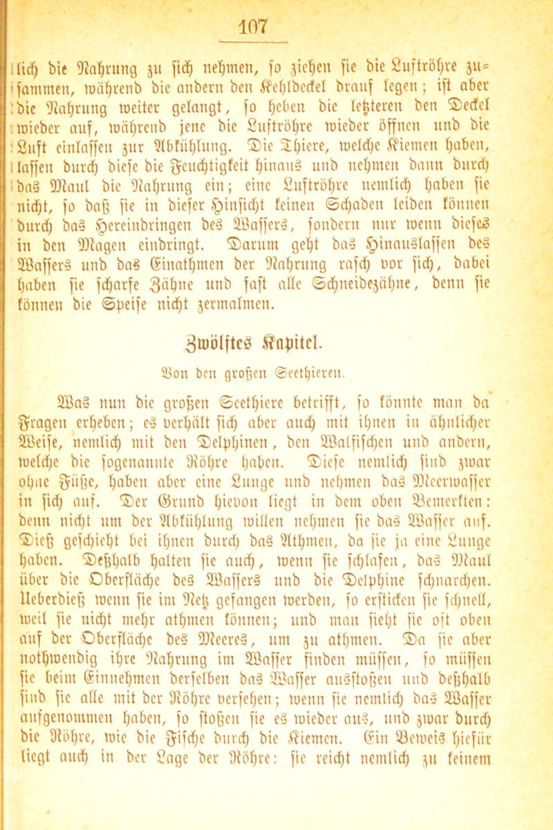 Kt(^ bie 9?Q^vung ä« tie'^men, )o jic^en fie bte 2uftrö|)ve ju= ifammen, iDüI^renb bic onbern bcii ifefjlbectel bvaiij legen; ift aber Ibic 51a^ning weiter gelangt, fo Ijeben bie (enteren ben 2)edel twieber auf, wnljrenb jene bic 2nftröl)re wieber öffnen nnb bie :2nft cinlnffen jiir ?lbfiit)lnng. ®ic 2:()iere, wcicljc ifiemen l)übcn, 1 taffen biird) biefe bie 5cn<i)0gfeit binan§ nnb ncljmcn bann bnrcl) lba§ 5)tanl bic 5Jal)ning ein; eine 2nftröl)ve nemlicb Ijaben fie nidjt, fo baß fie in biefer §infid)t feinen ©djaben leiben tönnen ’burd) ba§ Ipereinbringen beä SBafferä, fonbern mir wenn bief&S in ben 93fagen cinbringt. ®arnm ge’^t ba§ ^inan§laffen be§ Jöaffera nnb ba§ Ginalljmcn ber 9tabrnng rafd) oor fid), babei 1) irben fie fdjarfe faft alle ©d}ncibejäl)ne, beim fie tönnen bie ©peife nidjt jermalmcn. 3ü)ölftcö Hnpitcl. 93on brn großen ©eetbifven. 2Bn§ nun bic großen ©eetpierc betrifft, fo fönntc man bn fragen erbeben; cd uerbält fid) aber and) mit il)nen in äbnlid)er Sßeife, ncmlicb mit ben ®clpbiitcn, ben UBalfifdjen unb anbern, weld)c bie fogenannte Diöl)re b«l>cn. ®iefc nemlid) finb jwar ot)iie öüße, haben aber eine 2nnge nnb nebmen bad 93fcerwaffcr in fid) auf. ®er ®rnnb biföon liegt in bem oben 53cmertten: beim nid)t um ber 'Jlbtüblnng willen nebmen fie bad äBaffer auf. 2) ieß gcfd)iebt bei ibncii burd) bnd 9ltbiucn, bn fie ja eine 2imge haben. ®eßl)alb halten fie and), wenn fie fd)Iafen, bad DJhml über bie Dberflnd)c bed 2Bnfferd nnb bie 'iDcIpbinc fd)nnrd)en. Ueberbieß wenn fie im Jlti} gefangen werben, fo erftiden fie fd)iiell, weil fie nid)t mehr atbmen fönneii; nnb man fiel)t fie oft oben auf ber Dbcrfläd)c bed 93teered, nm jn atf)inen. ®n fie aber notbwenbig il)re DJnbrnng im Jönffer finben muffen, fo miiffen fie beim Siimebmen bcrfclben bnd 3Baffer andftoßen nnb beßbalb finb fie alle mit ber 9töl)rc oerfebeii; wenn fie nemlid) bad SBaffer anfgenoinmcn haben, fo ftoßen fie cd wieber and, nnb jwar burd) bic 9löl)re, wie bie (Jifdjc bnreh bic .(?icmcn. &'in Ißewcid hiefüv liegt mich in ber 2nge ber Stöhre: fie reid)t nemlich ^u feinem
