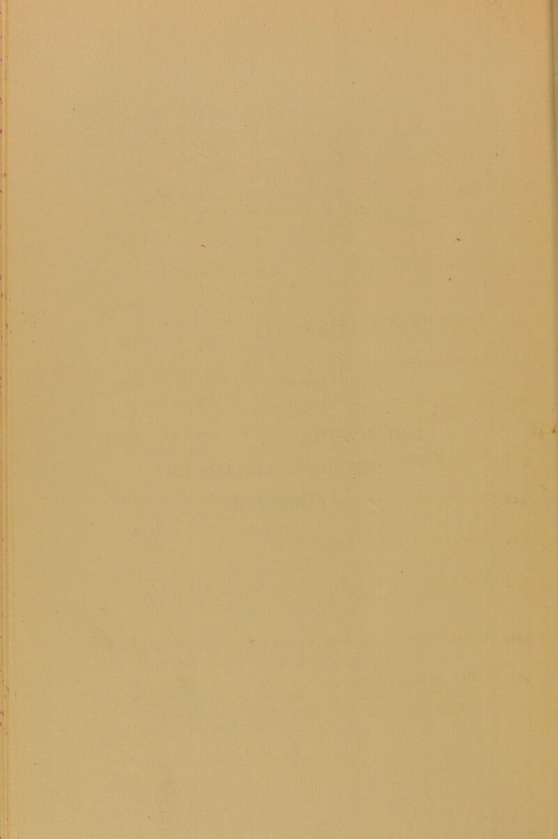 I I <1 I iV I ■' 'S I I ) 1