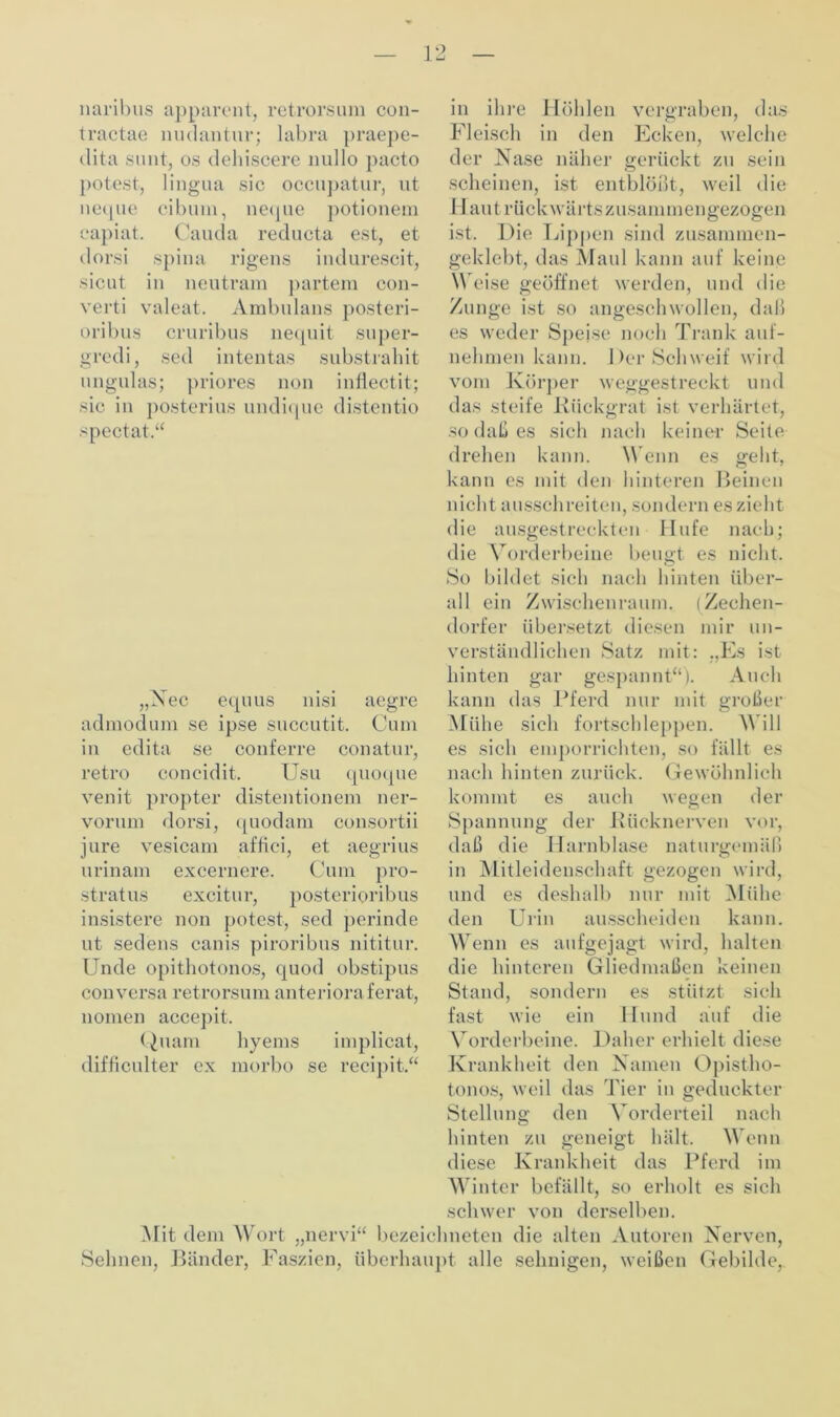 naribus apparent, retrorsum con- tractae nudantur; labra praepe- dita sunt, os dehiscere nullo pacto potest, lingua sic occupatur, ut neque cibum, neque potionem capiat. Cauda reducta est, et dorsi spina rigens indurescit, sicut in neutram partera con- verti valeat. Ambulans posteri- oribus cruribus nequit super- gredi, sed intentas substrahit ungulas; priores non inflectit; sic in posterius undique distentio spectat.“ in ihre Höhlen vergraben, das Fleisch in den Ecken, welche der Nase naher gerückt zu sein scheinen, ist entblößt, weil die Haut rückwärtszusammengezogen ist. Die Lippen sind zusammen- geklebt, das Maul kann auf keine W eise geöffnet werden, und die Zunge ist so angeschwollen, daß es weder Speise noch Trank aul- nehmen kann. Der Schweif wird vom Körper weggestreckt und das steife Rückgrat ist verhärtet, so daß es sich nach keiner Seite drehen kann. W enn es geht, kann es mit den hinteren Beinen nicht ausschreiten, sondern es zieht die ausgestreckten Hufe nach; die Vorderbeine beugt es nicht. So bildet sich nach hinten über- all ein Zwischenraum. (Zechen- dorfer übersetzt diesen mir un- „Nec equus nisi aegre admodum se ipse succutit. Cum in edita se conferre conatur, retro concidit. Usu quoque venit propter distentionem ner- vorum dorsi, quodam consortii jure vesicam affici, et aegrius urinam excernere. Cum pro- stratus excitur, posterioribus insistere non potest, sed perinde ut sedens canis piroribus nititur. Unde opithotonos, quod obstipus conversa retrorsum anterioraferat, nomen accepit. Quam hyems implicat, difficulter ex morbo se recipit.“ Alit dem Wort „nervi“ bezei Sehnen, Bänder, Faszien, überhai verständlichen Satz mit: „Es ist hinten gar gespannt“). Auch kann das Pferd nur mit großer Mühe sich fortschleppen. W ill es sich emporrichten, so fällt es nach hinten zurück. Gewöhnlich kommt es auch wegen der Spannung der Rücknerven vor, daß die Harnblase naturgemäß in Mitleidenschaft gezogen wird, und es deshalb nur mit Mühe den Urin ausscheiden kann. Wenn es aufgejagt wird, halten die hinteren Gliedmaßen keinen Stand, sondern es stützt sich fast wie ein Hund auf die Vorderbeine. Daher erhielt diese Krankheit den Namen Opistho- tonos, weil das Tier in geduckter Stellung den Vorderteil nach hinten zu geneigt hält. Wenn diese Krankheit das Pferd im Winter befällt, so erholt es sich schwer von derselben. •lmeten die alten Autoren Nerven, ipt alle sehnigen, weißen Gebilde,