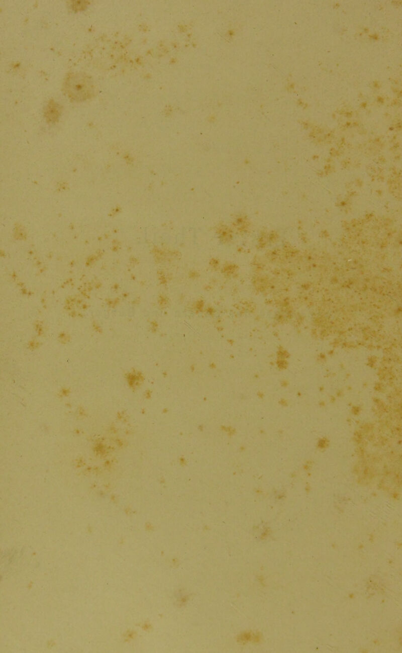 ,5’ > I« - K’ jJr.- Kt . . V. / <■> « t r ^ * • >**> ^ <l . ♦ V, <% r V />' ■* ,*4 ; 4V :•*. ■■*> V > ♦**# ■ . ♦• ^ - jfe .-' Kf; #- ’ .- *'<' •9' m^K > V ■%' “ **' 4; é’ * :» ’*^ y^ - '■^•' * )•' ■ » ^ V * ^ # k * f * V >Y •f é Ms >1