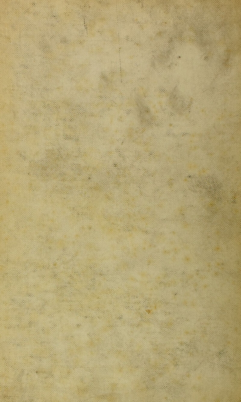 ■Vi . -yr'. ' l|i '%jf ;s -v; -i<'.:. •..., vc>>^v ;X' •. -