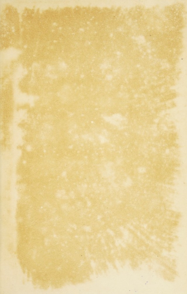 digitised image 3