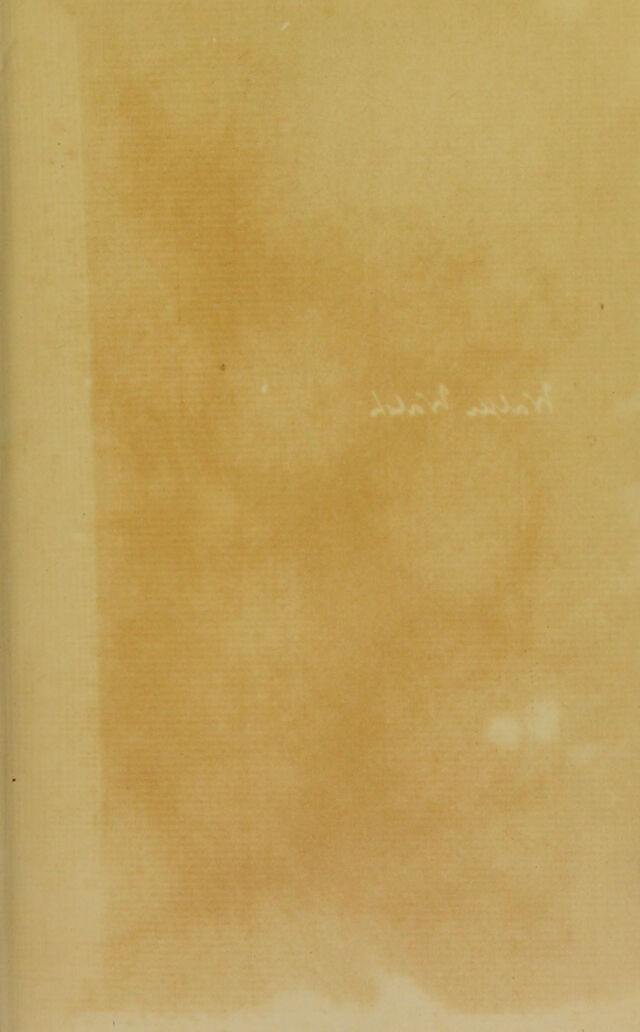 digitised image 3