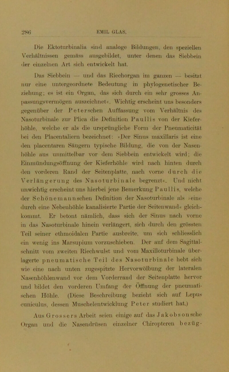 Die Ektoturbinalia sind analoge Bildungen, den speziellen Verhältnissen gemäss ausgebildet, unter denen das Siebbein der einzelnen Art sich entwickelt hat. Das Siebbein — und das Riechorgan im ganzen — besitzt nur eine untergeordnete Bedeutung in phylogenetischer Be- ziehung; es ist ein Organ, das sich durch ein sehr grosses An- passungsvermögen auszeichnet«. Wichtig erscheint uns besonders gegenüber der Peter sehen Auffassung vom Verhältnis des Nasoturbinale zur Plica die Definition Paullis von der Kiefer- höhle, welche er als die ursprüngliche Form der Pneumaticität bei den Plaeentaliern bezeichnet: »Der Sinus maxillaris ist eine den placentaren Säugern typische Bildung, die von der Nasen- höhle aus unmittelbar vor dem Siebbein entwickelt wird; die Einmündungsöffnuug der Kieferhöhle wird nach hinten durch den vorderen Rand der Seitenplatte, nach vorne durch die Verlängerung des Nasoturbinale begrenzt«. Und nicht unwichtig erscheint uns hierbei jene Bemerkung Paullis, welche der Schönemannsehen Definition der Nasoturbinale als »eine durch eine Nebenhöhle kanalisierte Partie der Seiten wand« gleich- kommt. Er betont nämlich, dass sich der Sinus nach vorne in das Nasoturbinale hinein verlängert, sieh durch den grössten Teil seiner ethmoidalen Partie ausbreite, um sich schliesslich ein wenig ins Marsupium vorzuschieben. Der auf dem Sagittal- schnitt vom zweiten Riechwulst und vom Maxilloturbinale über- lagerte pneumatische Teil des Nasoturbinale hebt sich wie eine nach unten zugespitzte Hervorwölbung der lateralen Nasenhöhlenwand vor dem Vorderrand der Seitenplatte hervor und bildet den vorderen Umfang der Öffnung der pneumati- schen Höhle. (Diese Beschreibung bezieht sich auf Lepus cuniculus, dessen Muschelentwicklung Peter studiert hat.) Aus Grosse r s Arbeit seien einige auf das Jakobson sehe Organ und die Nasendrüsen einzelner Chiropteren bezüg-